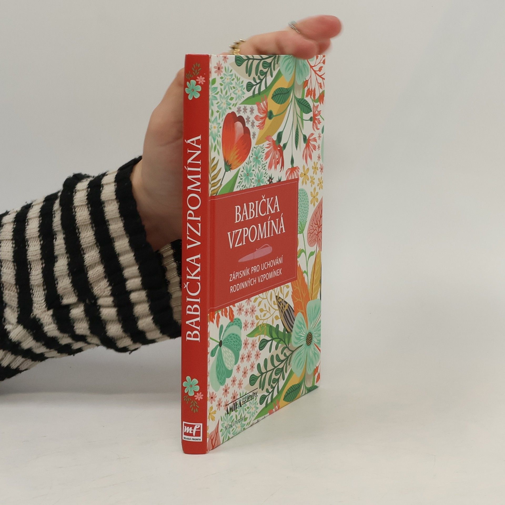 Autorenkollektiv Babička vzpomíná - Babiččiny zápisky celé rodině na památku