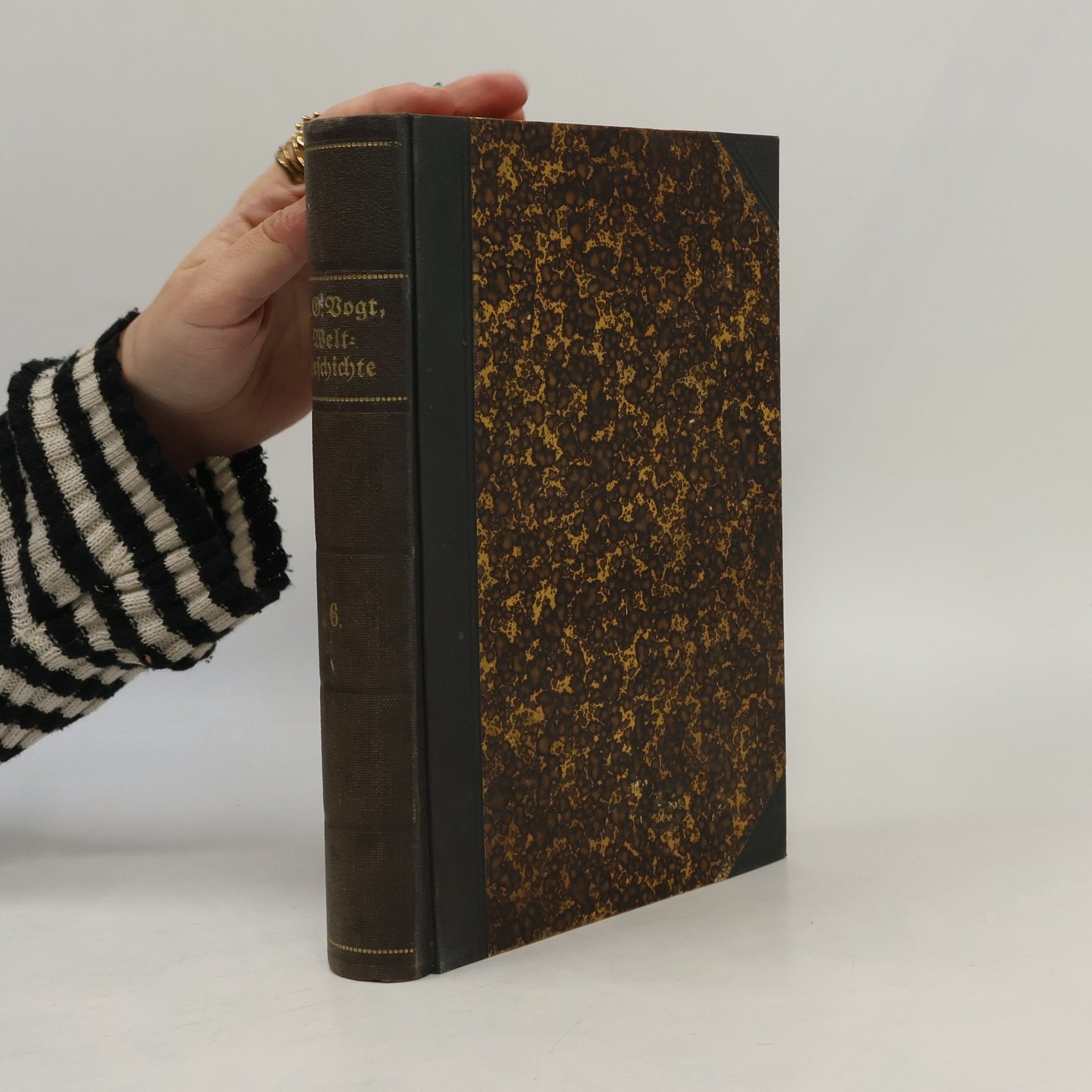 J. G. Vogt Illustrierte Weltgeschichte für das Volk. Band VI.