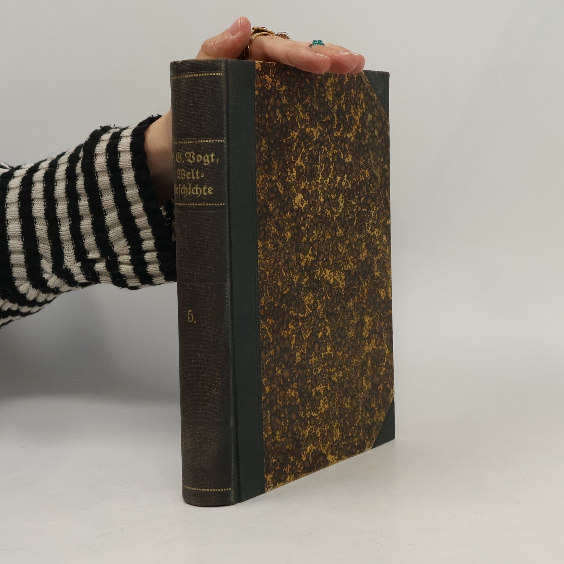 J. G. Vogt Illustrierte Weltgeschichte für das Volk V.