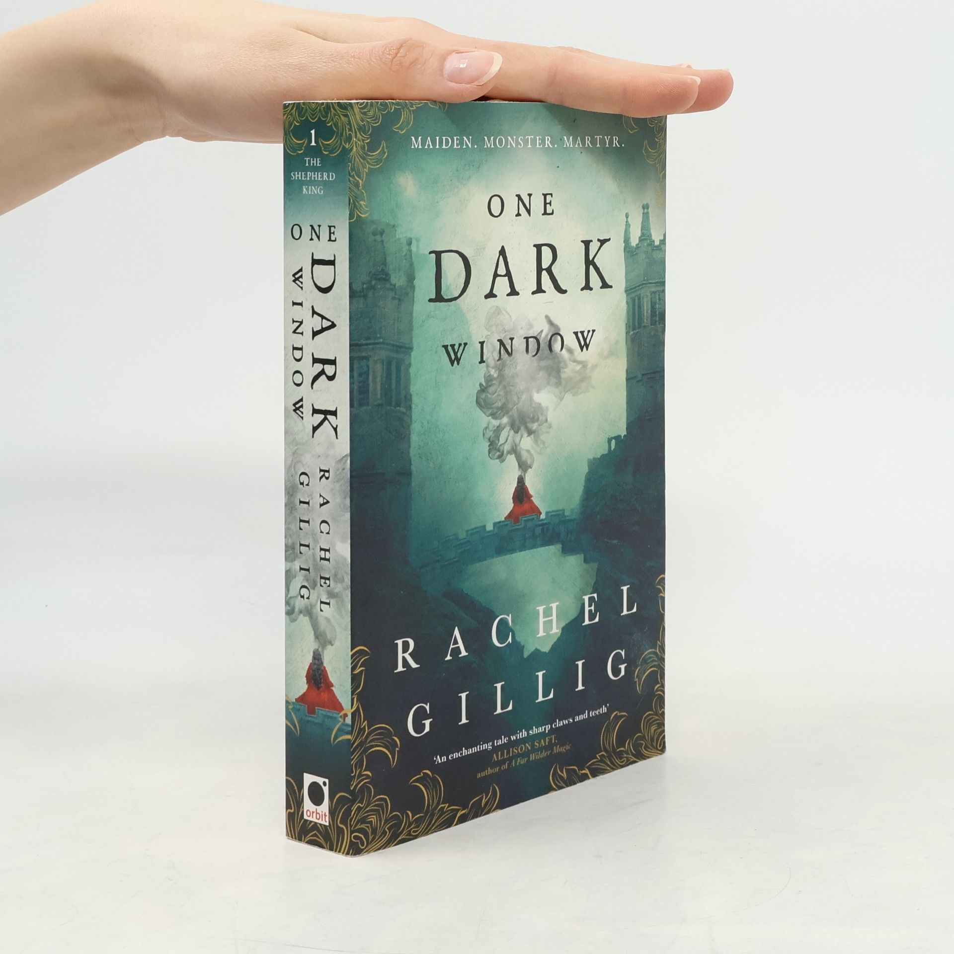 Rachel Gillig One Dark Window