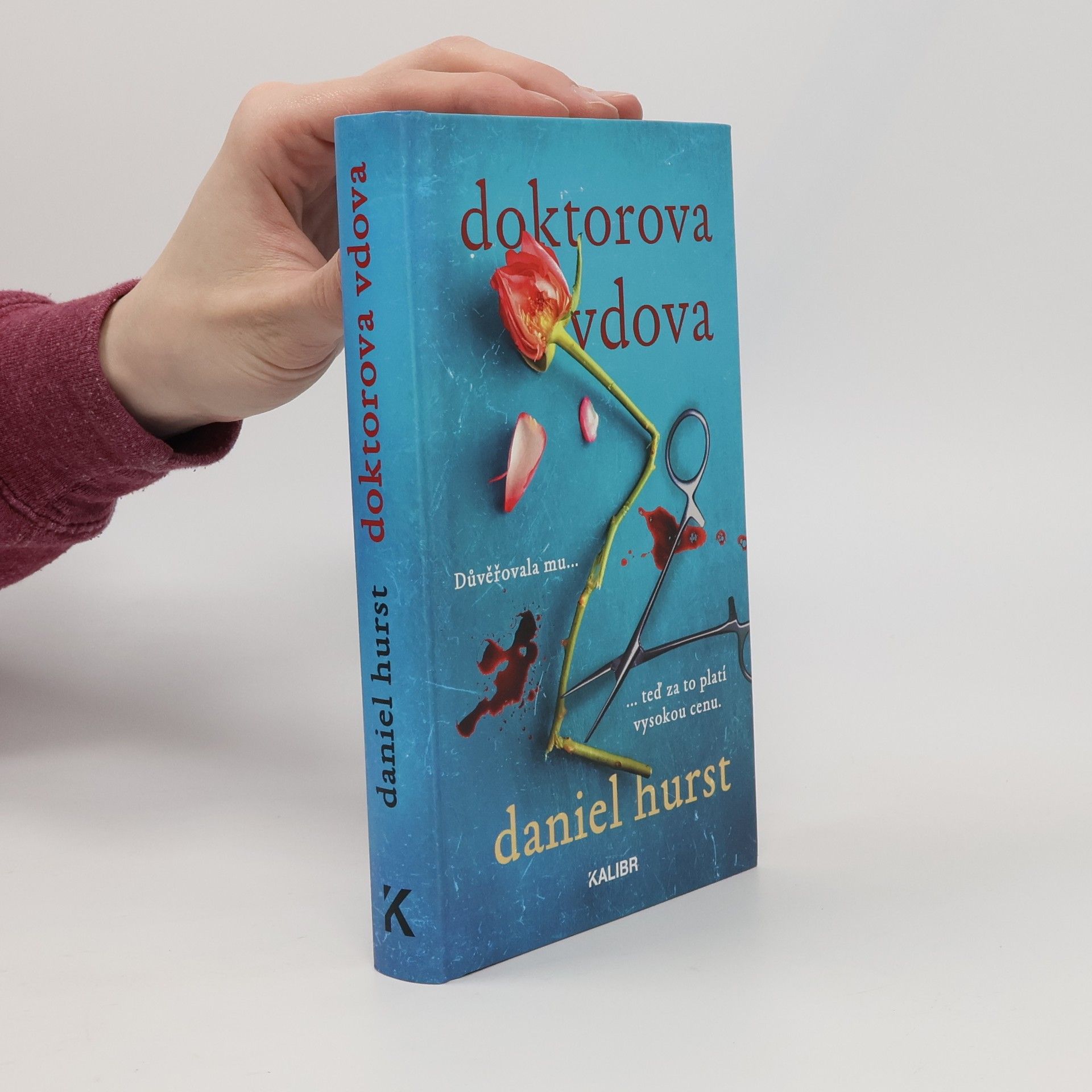 Daniel Hürst Doktorova vdova