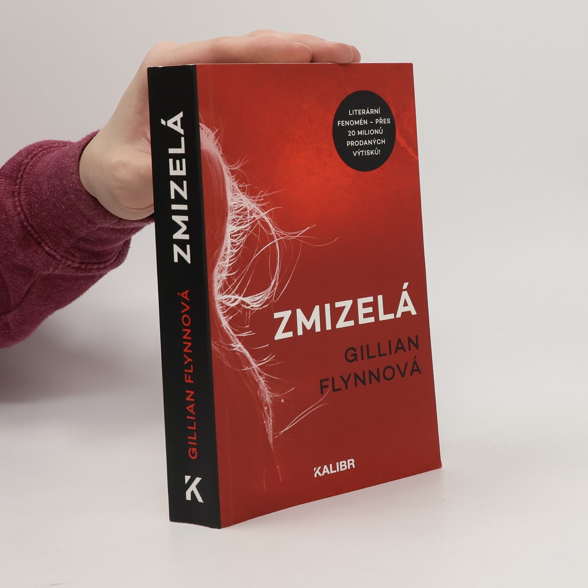 Gillian Flynn Zmizelá