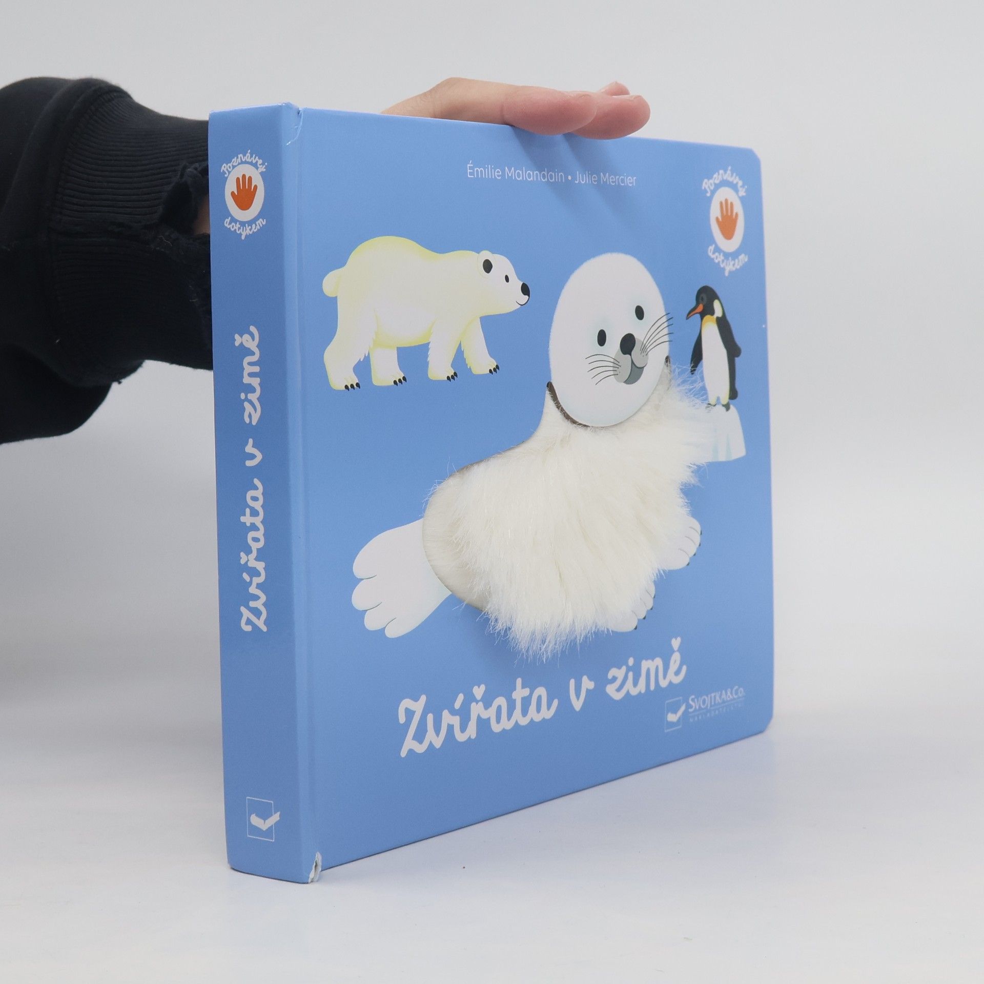 Émilie Malandain Zvířata v zimě