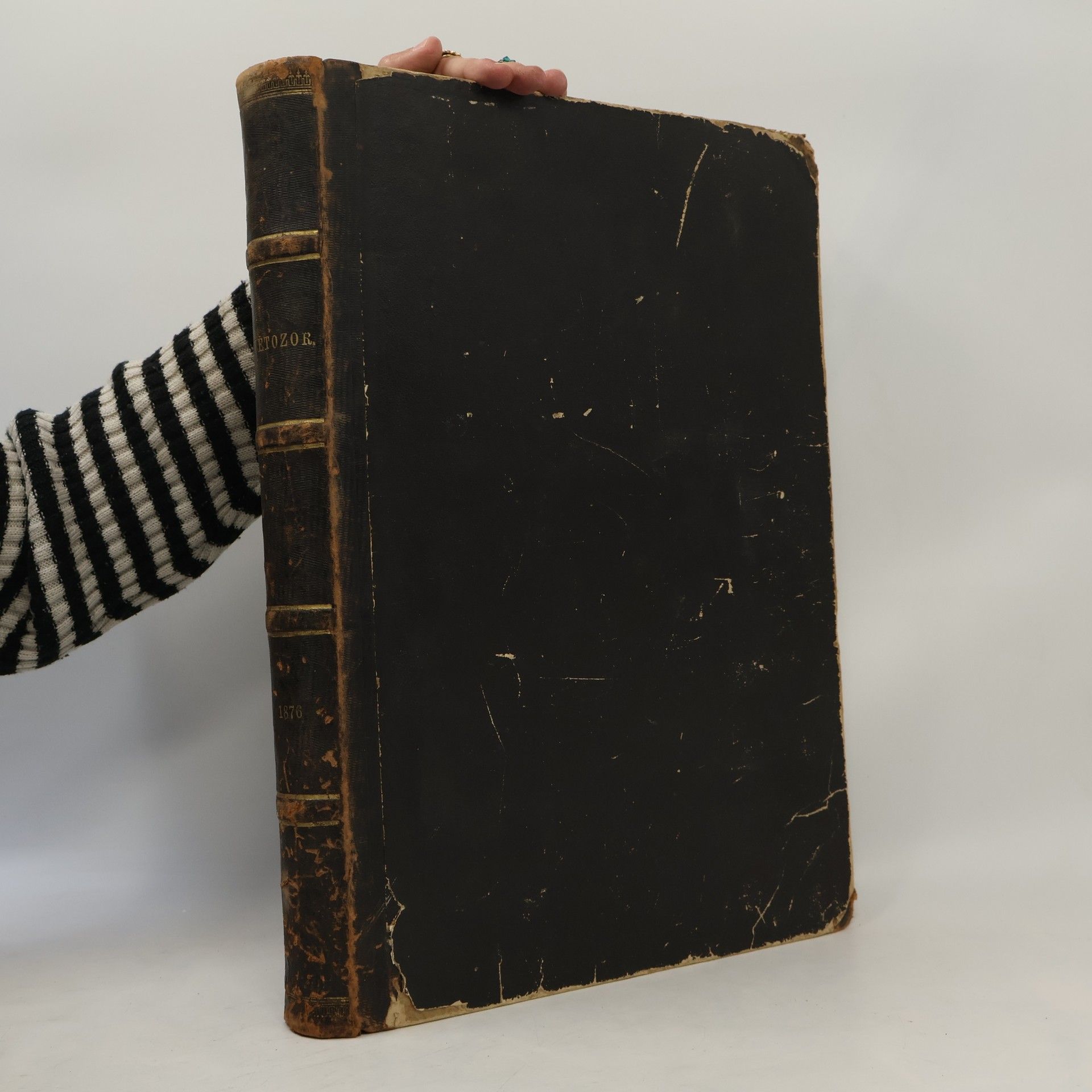 Kolektív autorov Světozor X.