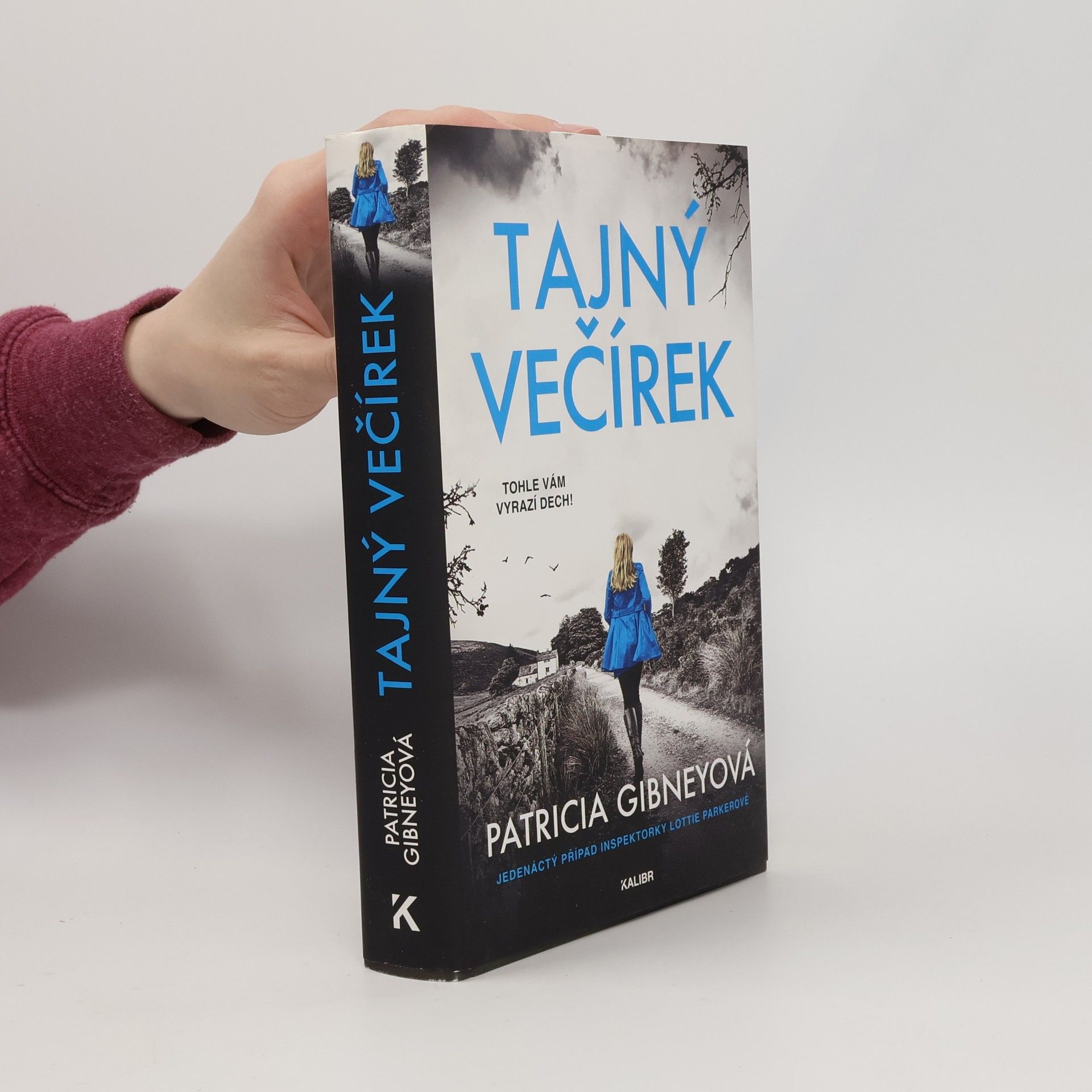 Patricia Gibney Tajný večírek