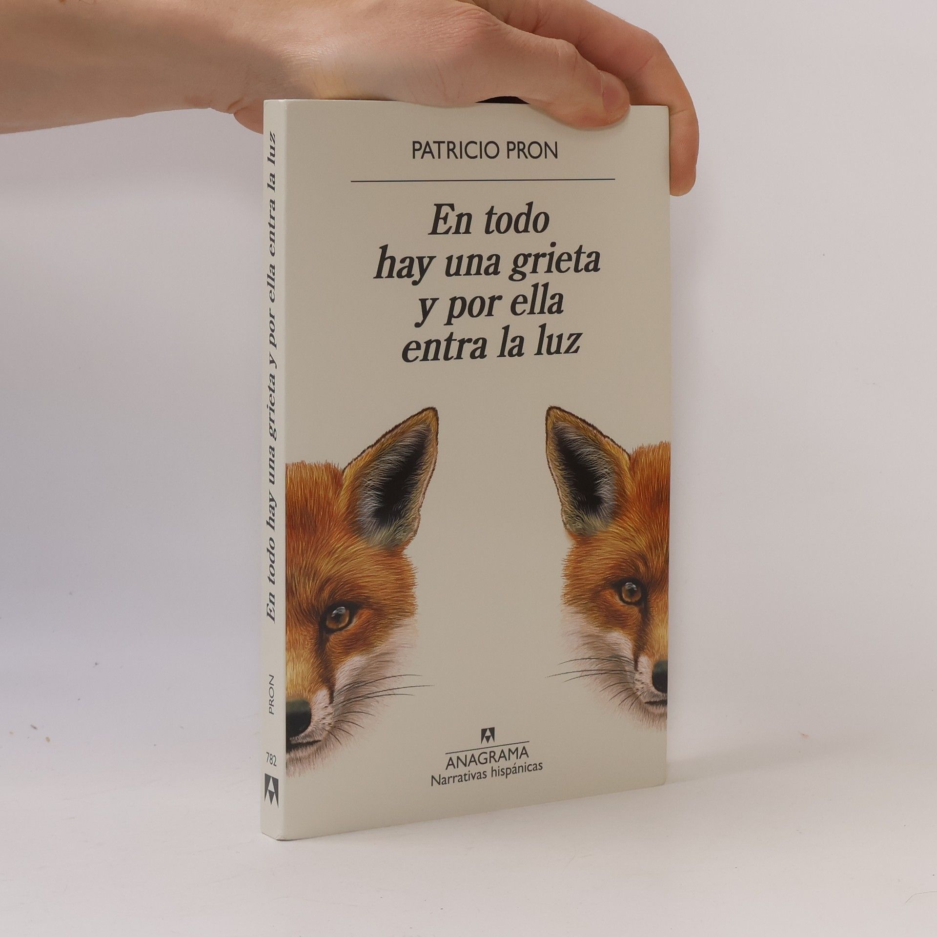 Patricio Pron Narrativas hispánicas: En todo hay una grieta y por ella entra la luz