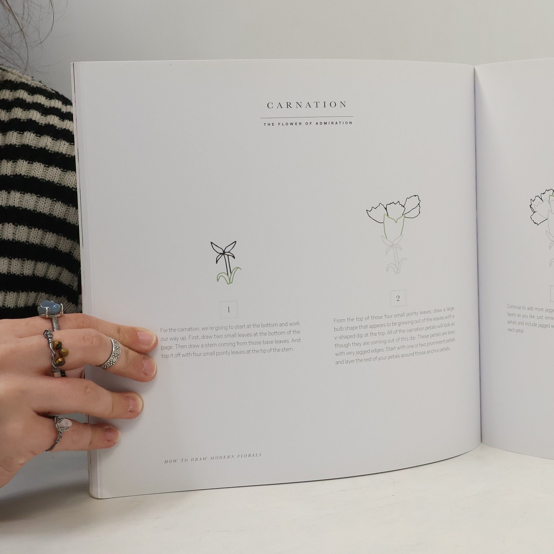 Alli Koch How to Draw Modern Florals
