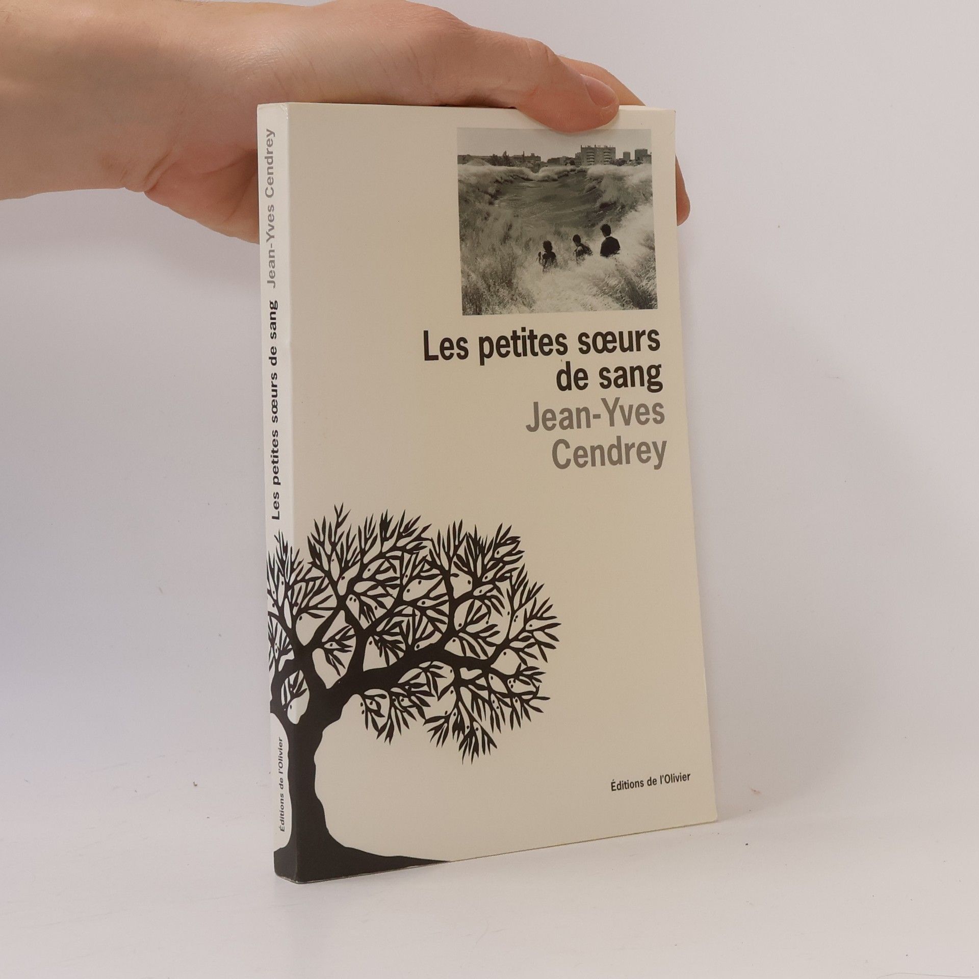 Jean Yves Cendrey Les petites sœurs de sang