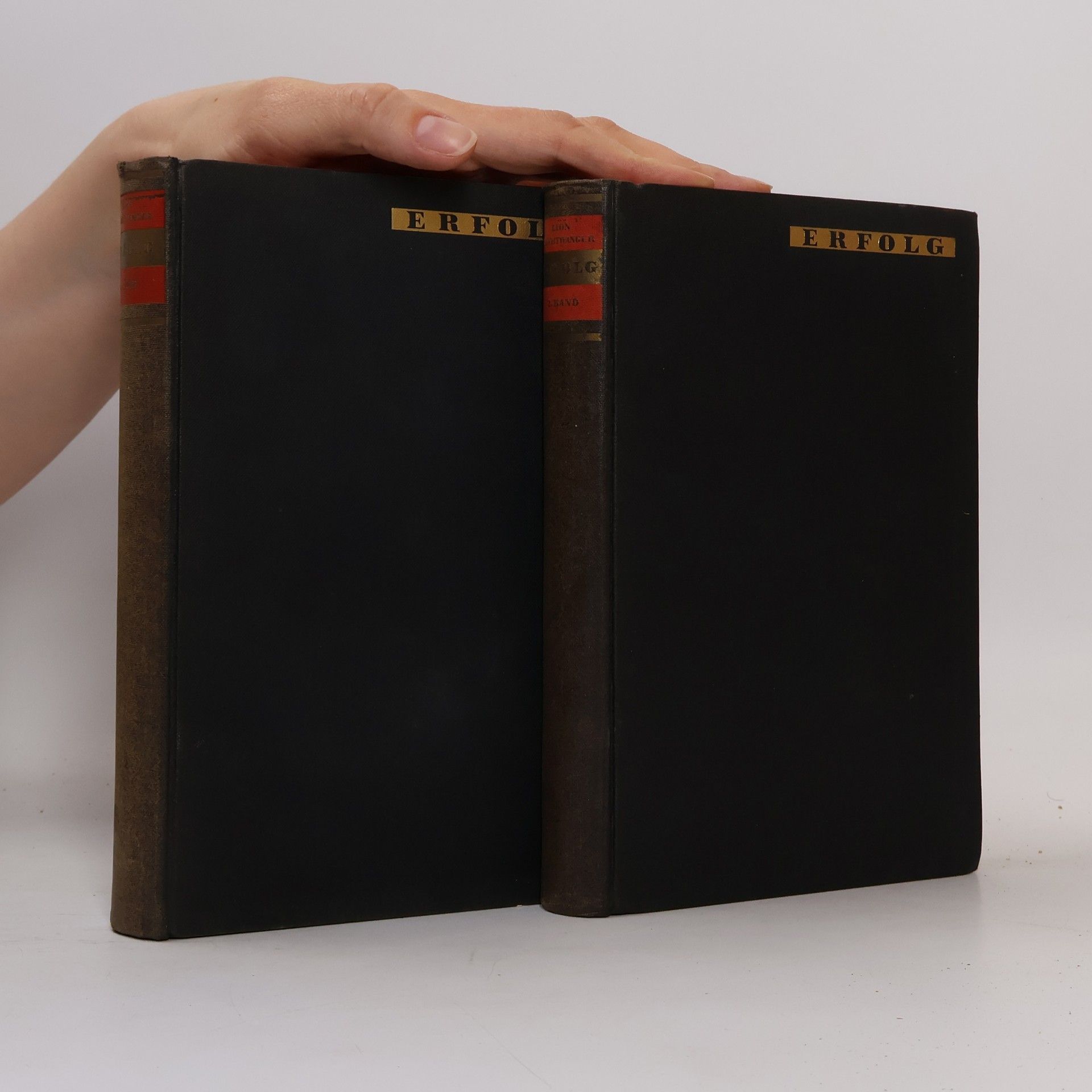 Lion Feuchtwanger Erfolg. Drei Jahre Geschichte einer Provinz I.-II.