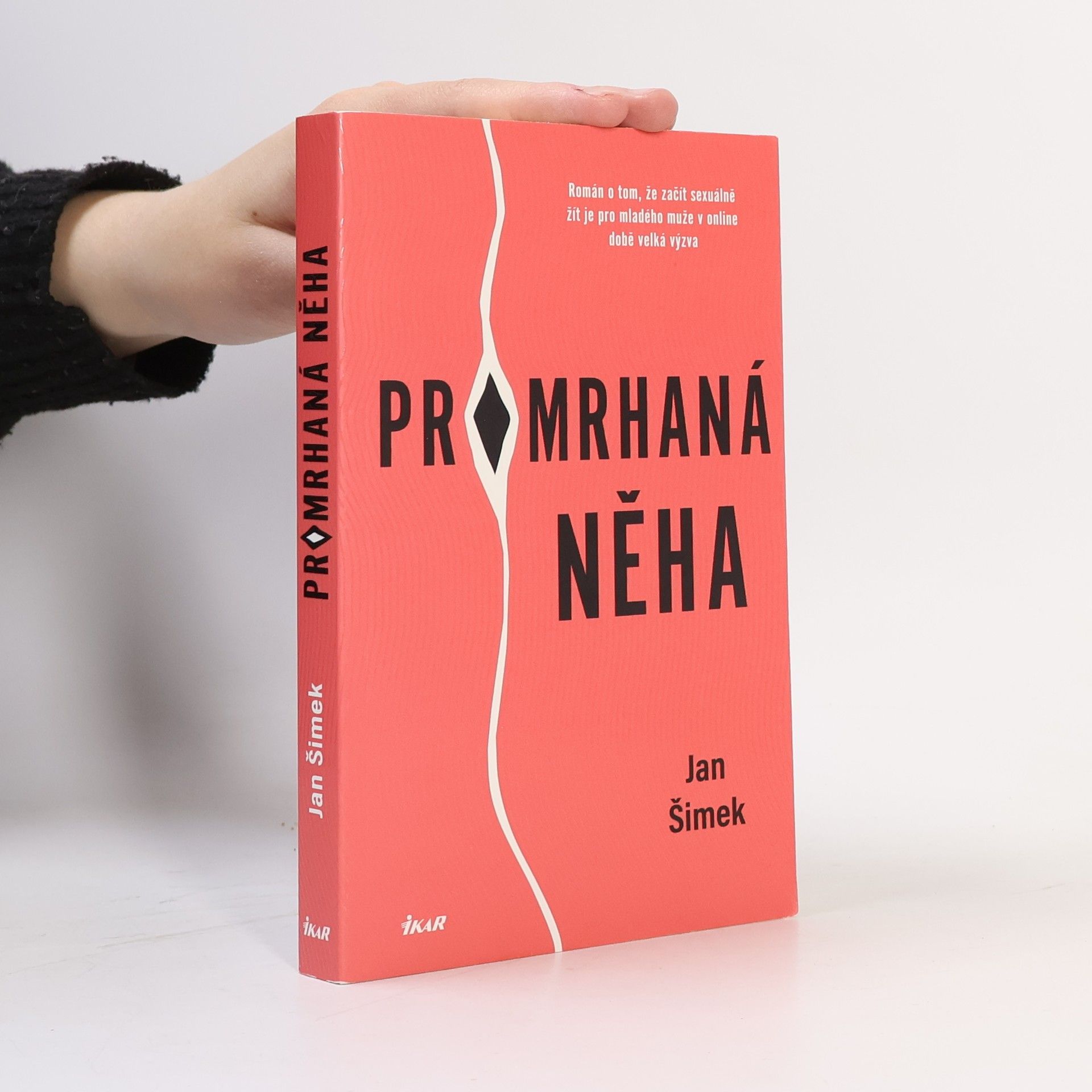 Jan Šimek Promrhaná něha