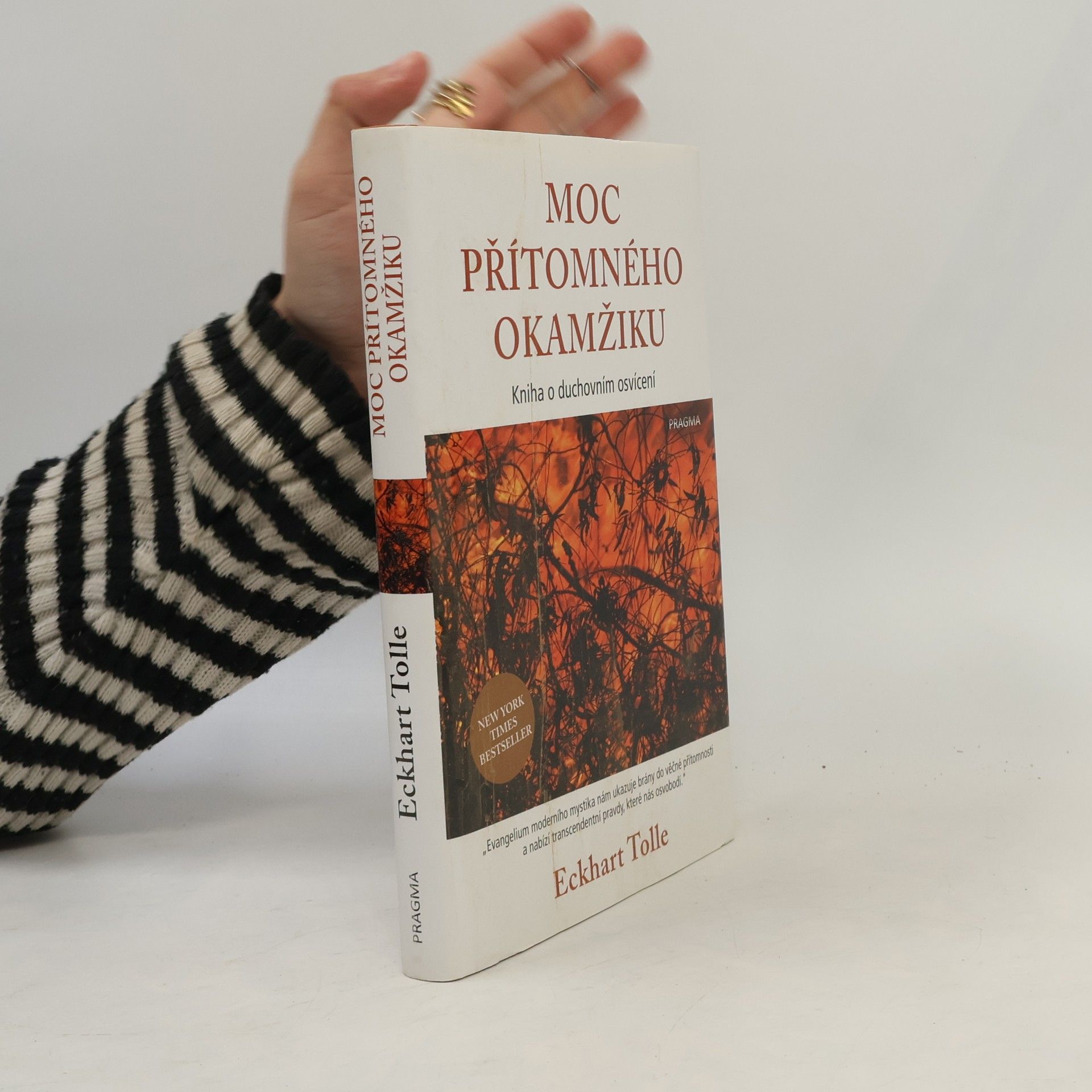 Eckhart Tolle Moc přítomného okamžiku