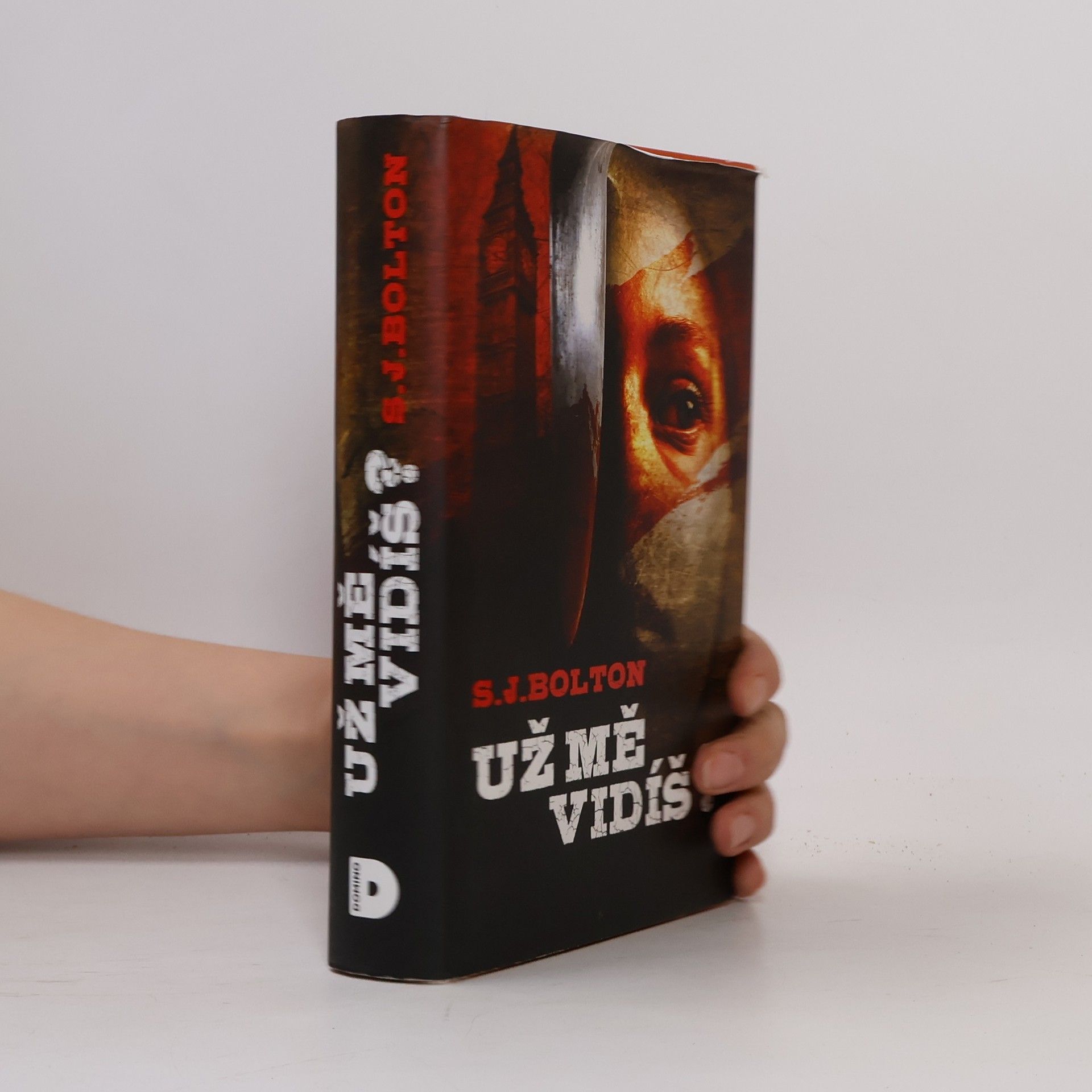 Sharon J. Bolton Už mě vidíš?