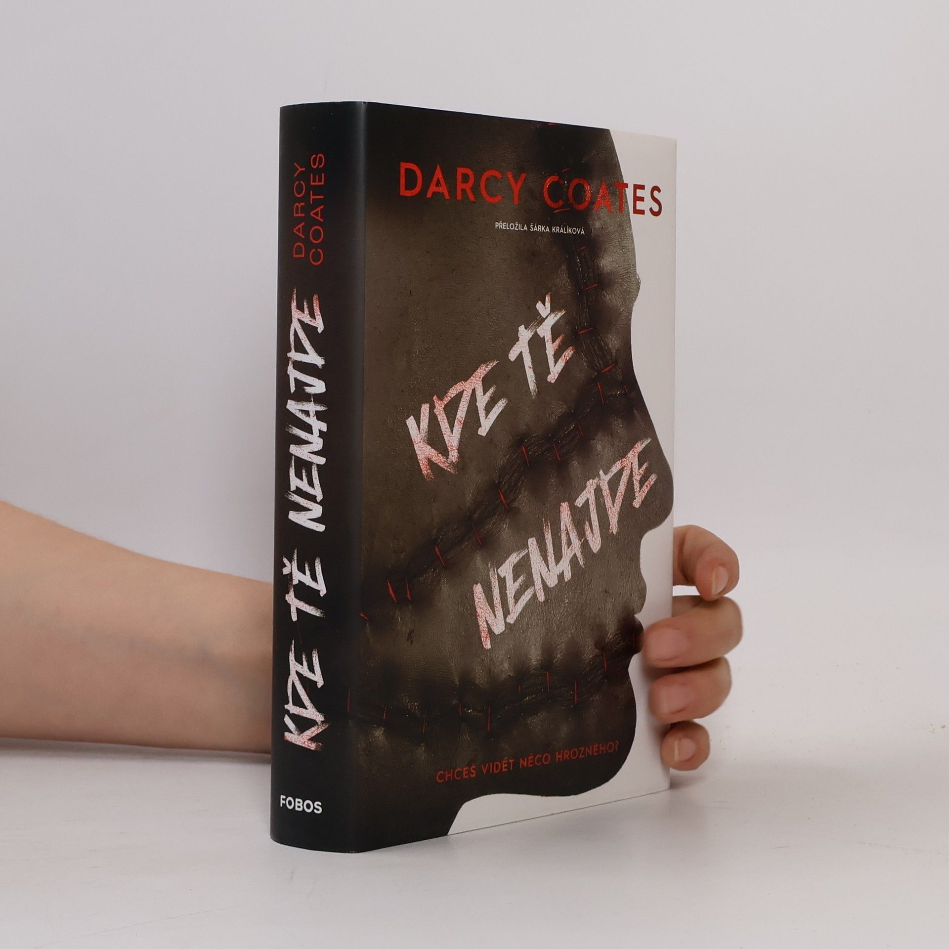 Darcy Coates Kde tě nenajde