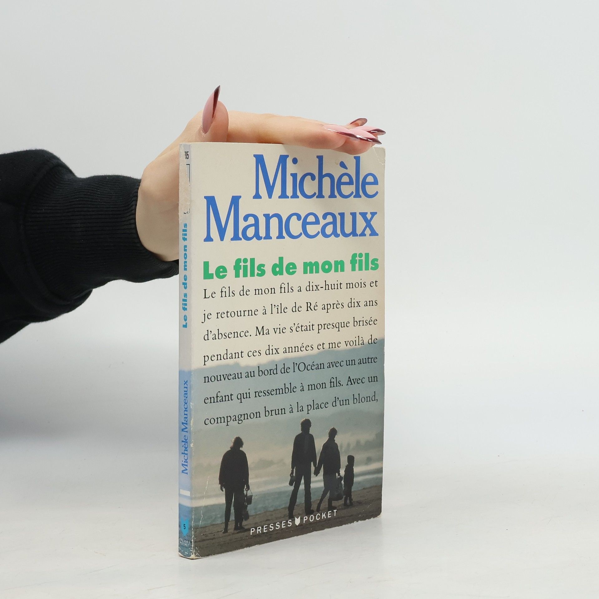 Michèle Manceaux Le fils de mon fils