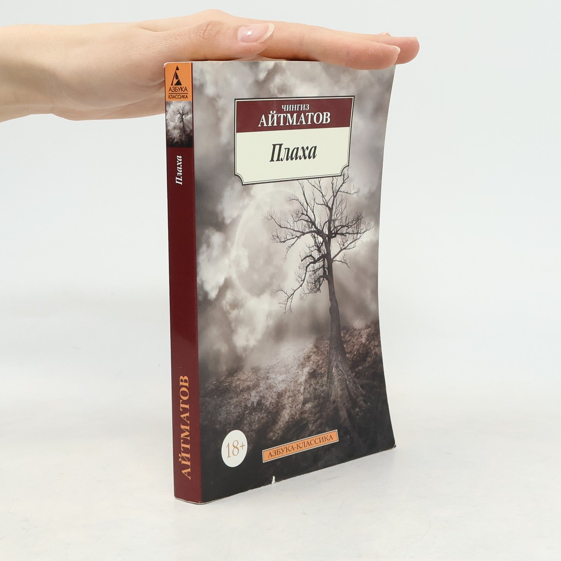 Čingiz Ajtmatov Плаха