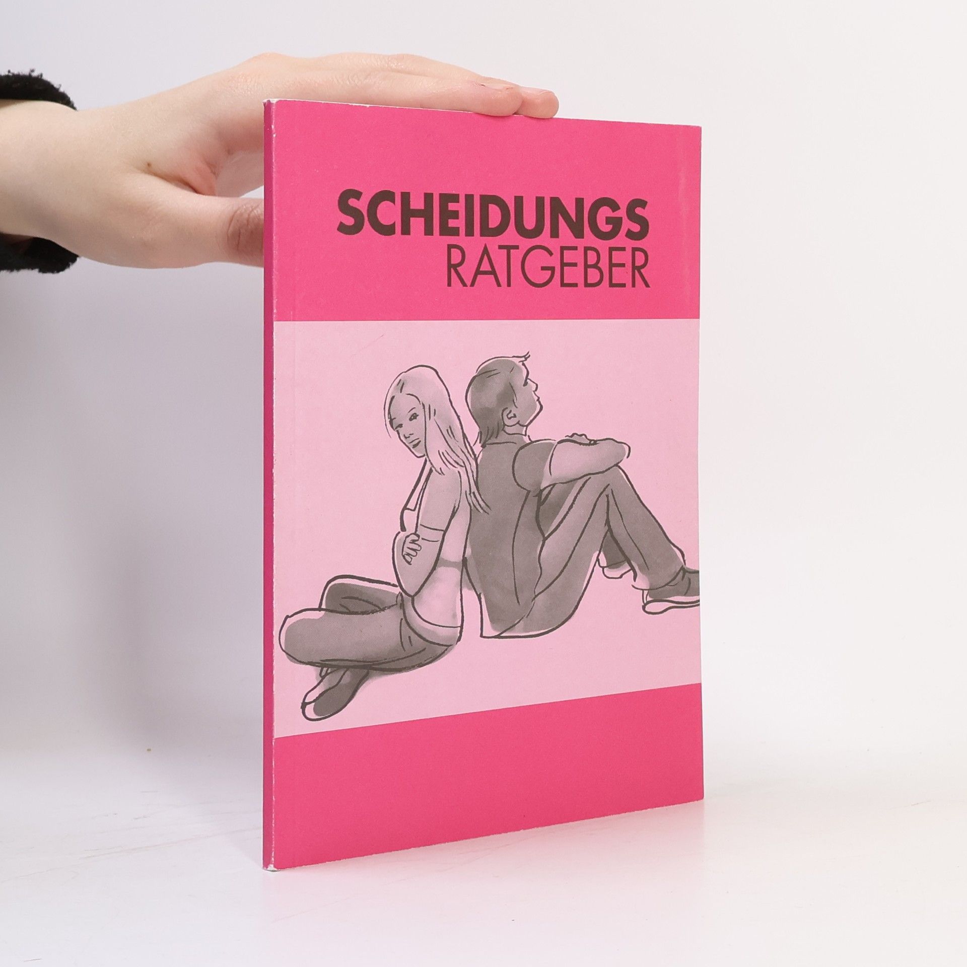 Kolektiv autorů Scheidungsratgeber