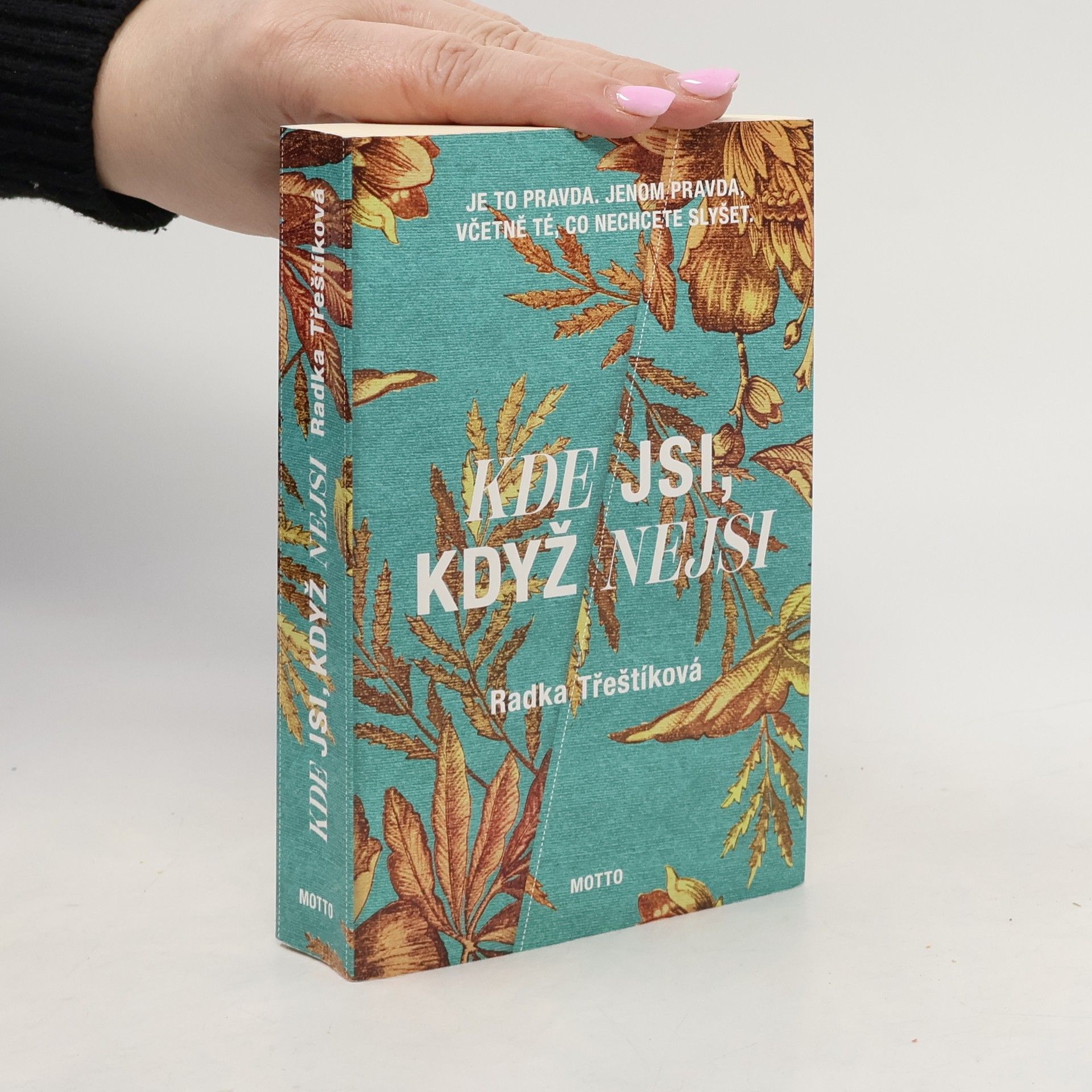 Radka Třeštíková Kde jsi, když nejsi