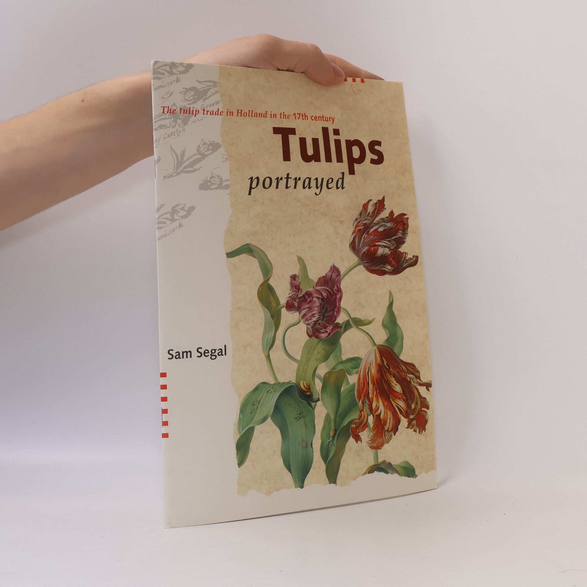 Sam Segal Tulips portrayed