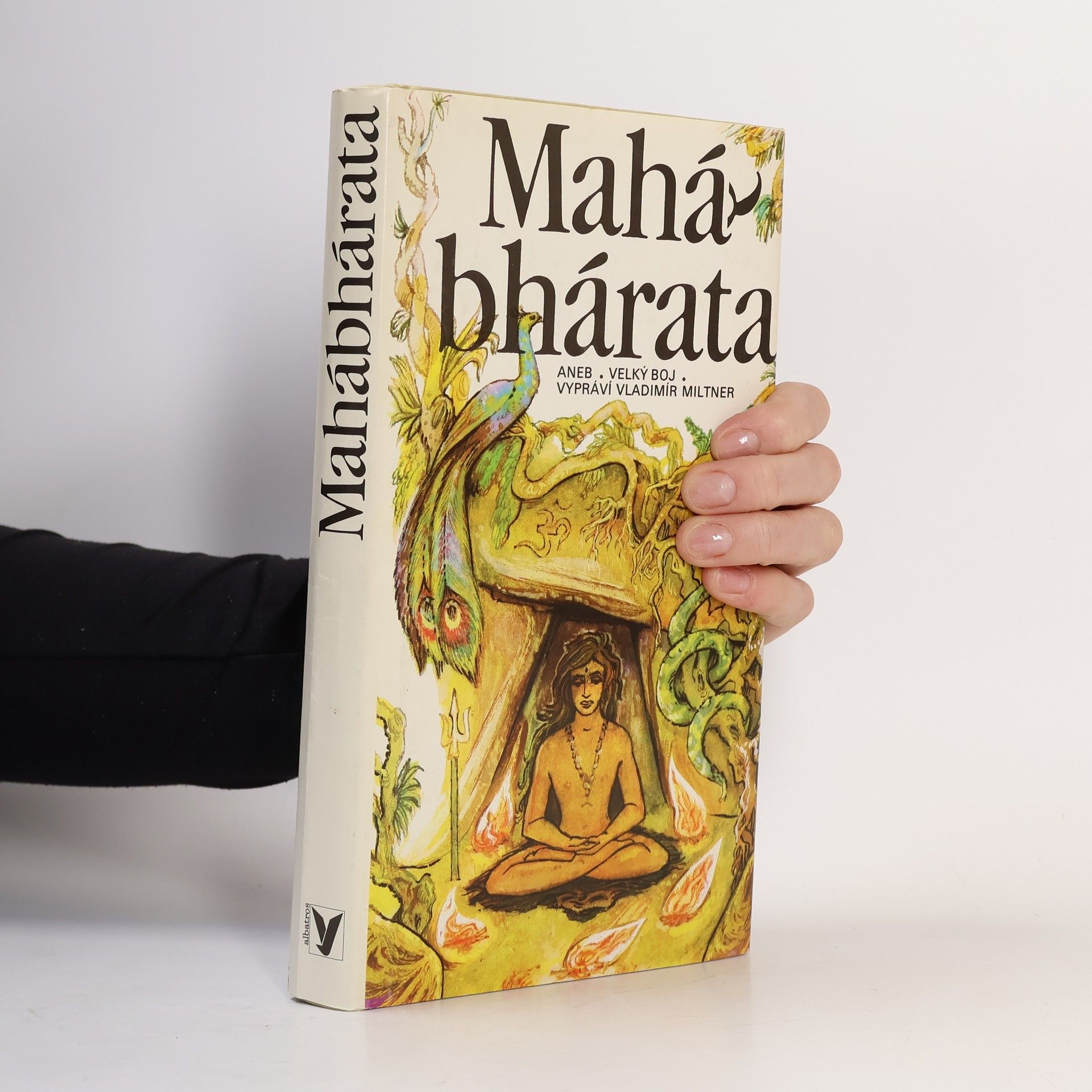 Vladimír Miltner Mahábhárata aneb Velký boj