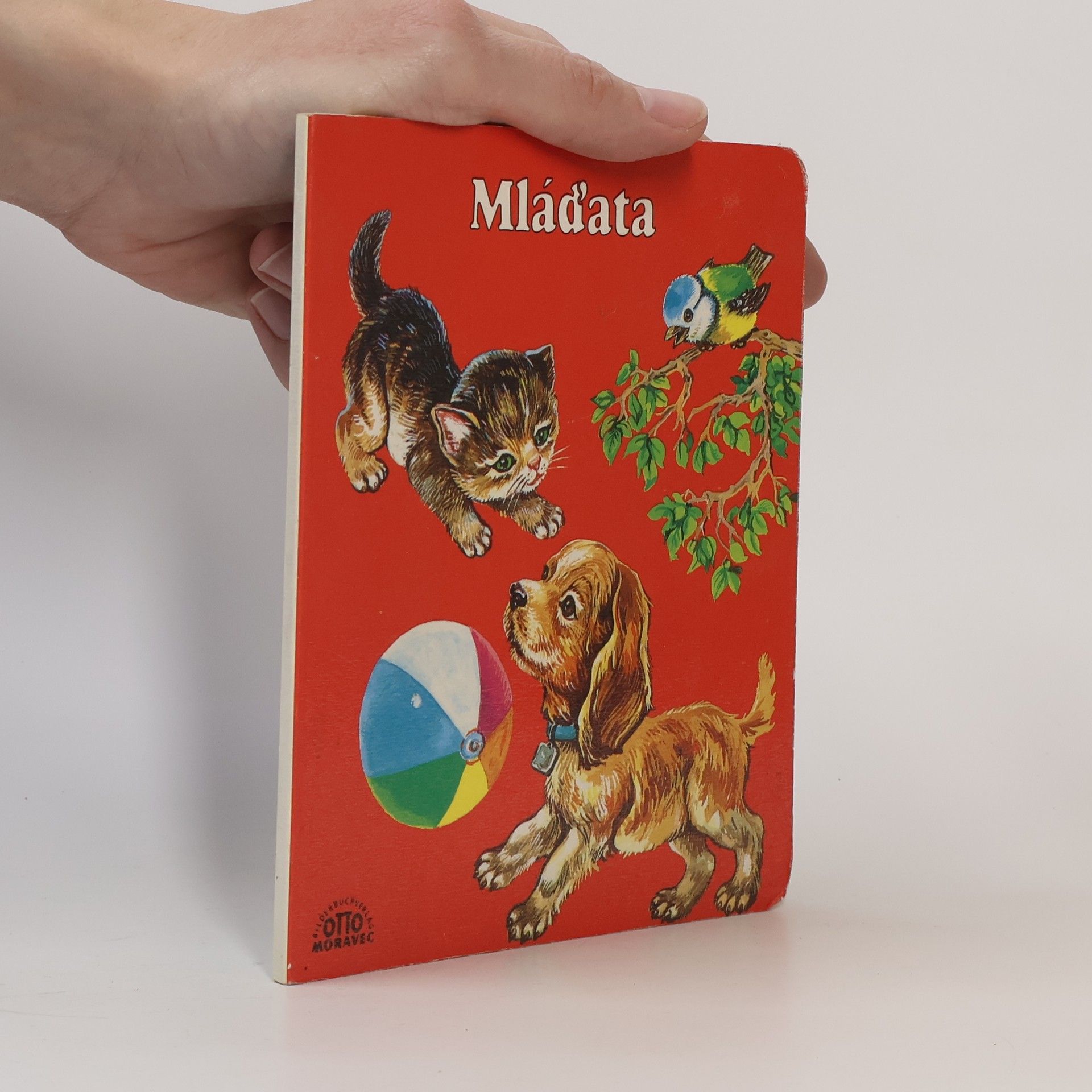 J. Vašíčková Mláďata