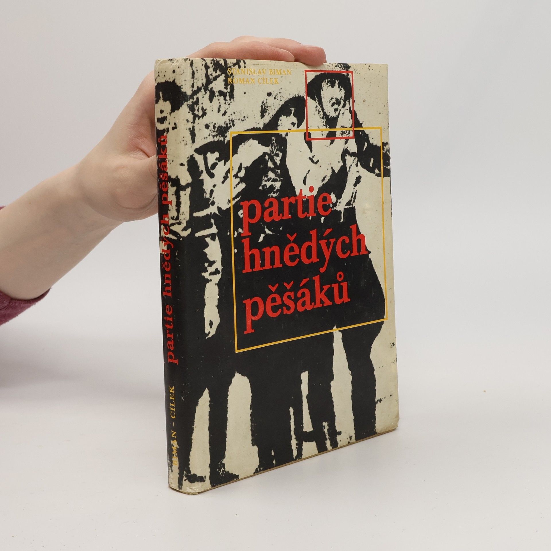 Partie hnědých pěšáků