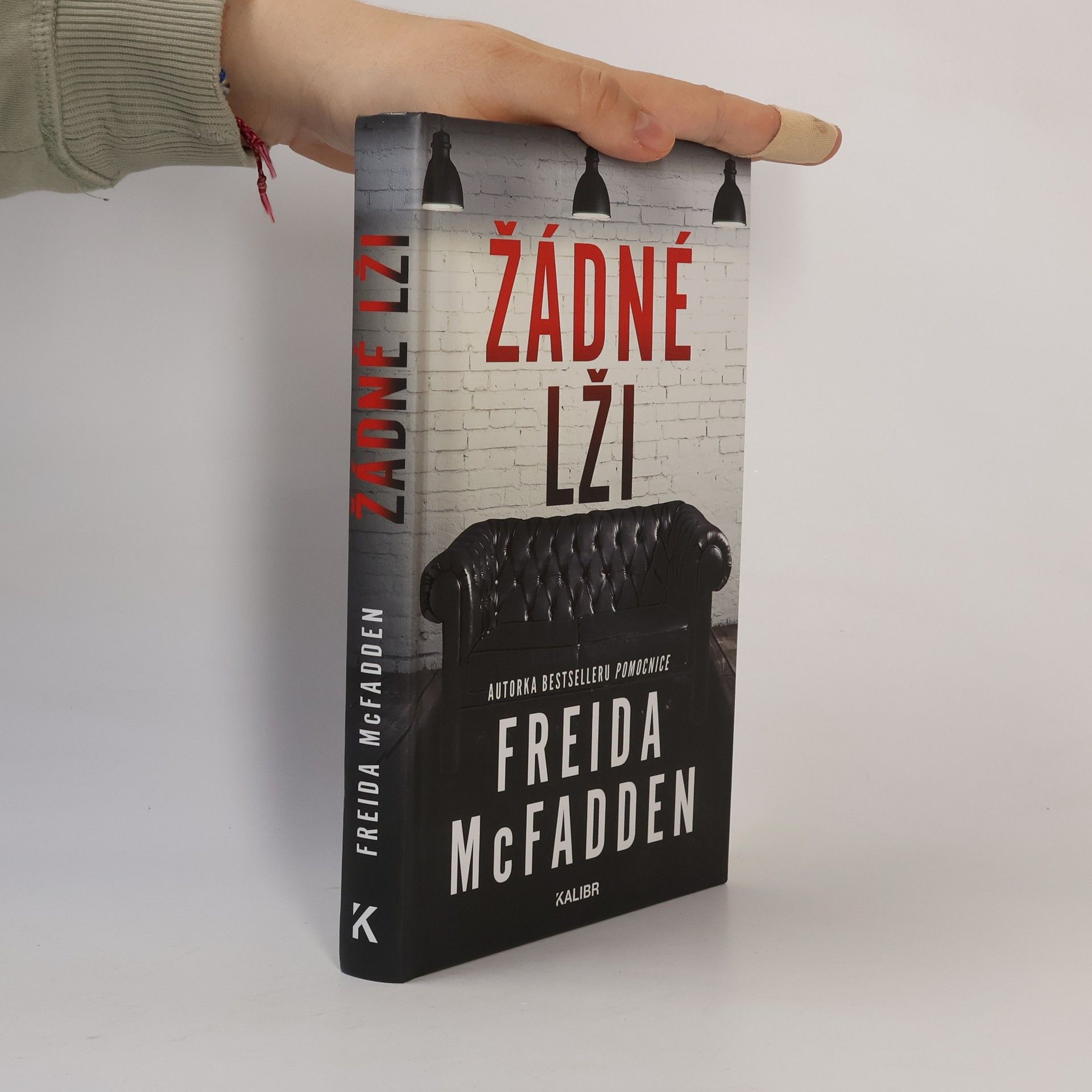 Freida McFadden Žádné lži