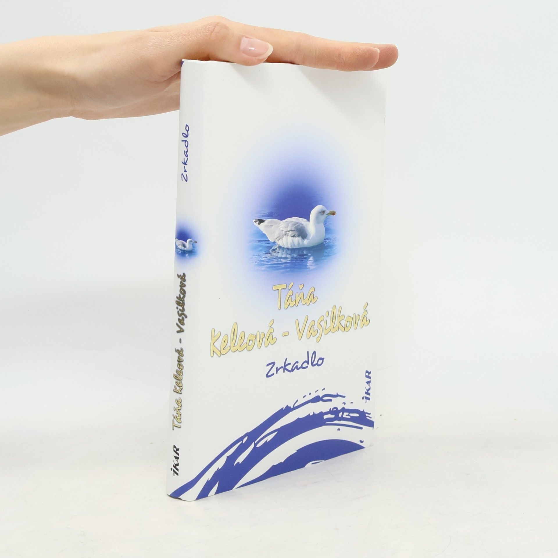 Táňa Keleová-Vasilková Zrkadlo