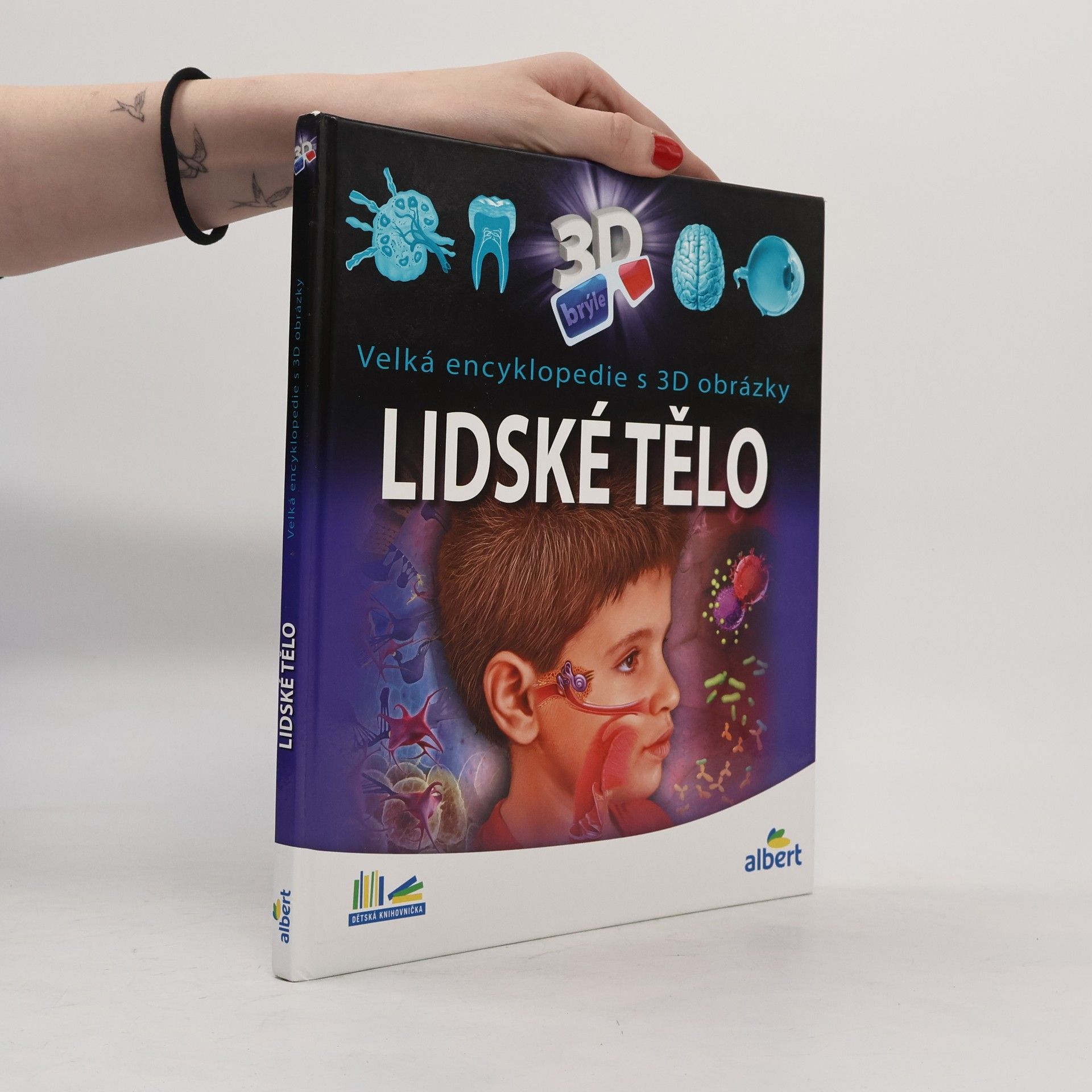 Kateřina Orlová Lidské tělo