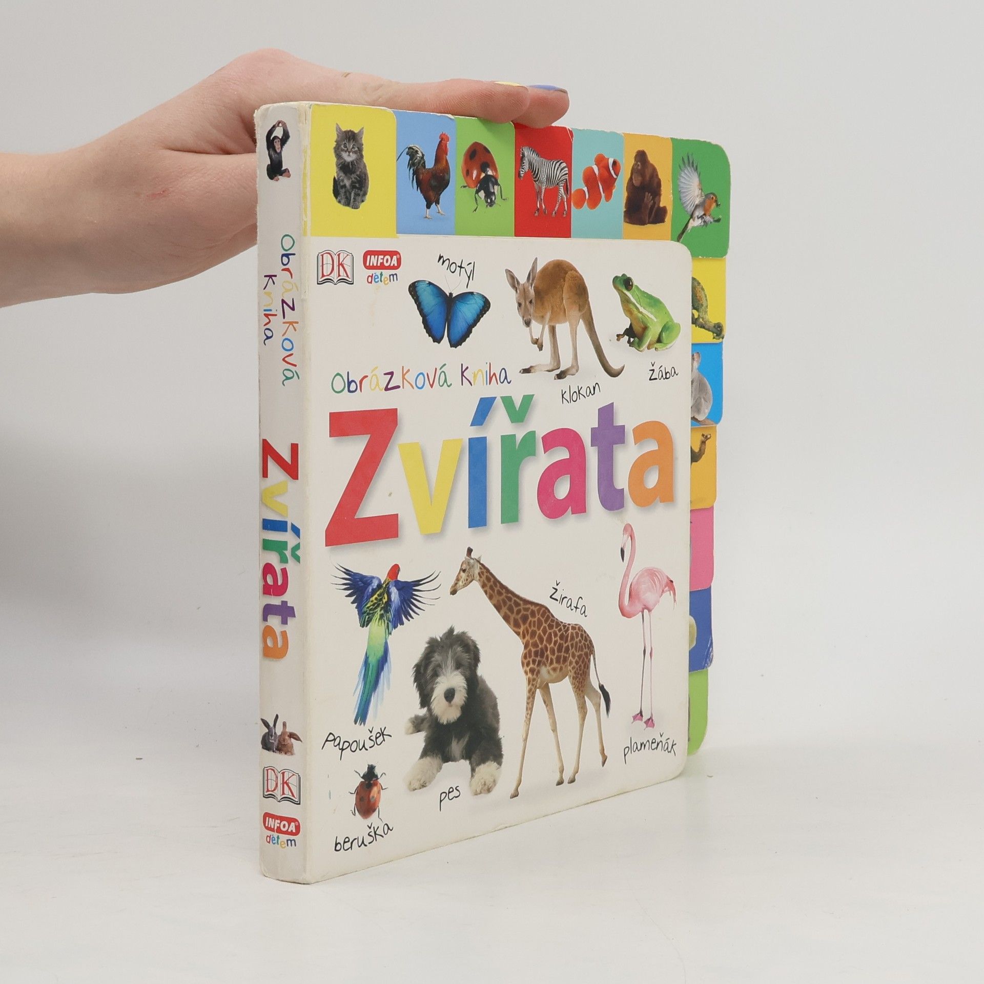 Autorenkollektiv Obrázková kniha. Zvířata