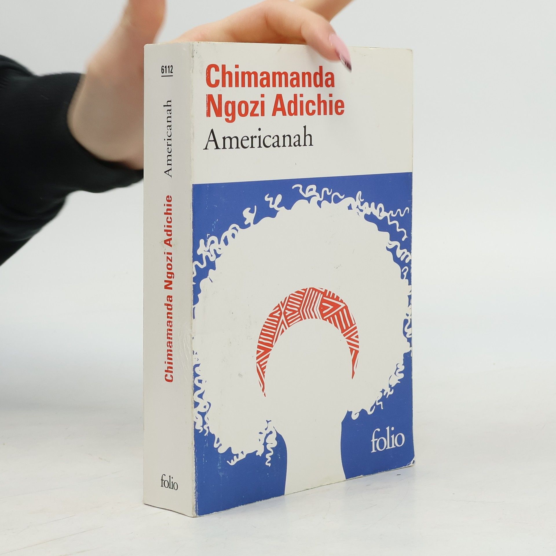 Chimamanda Ngozi Adichie Americanah