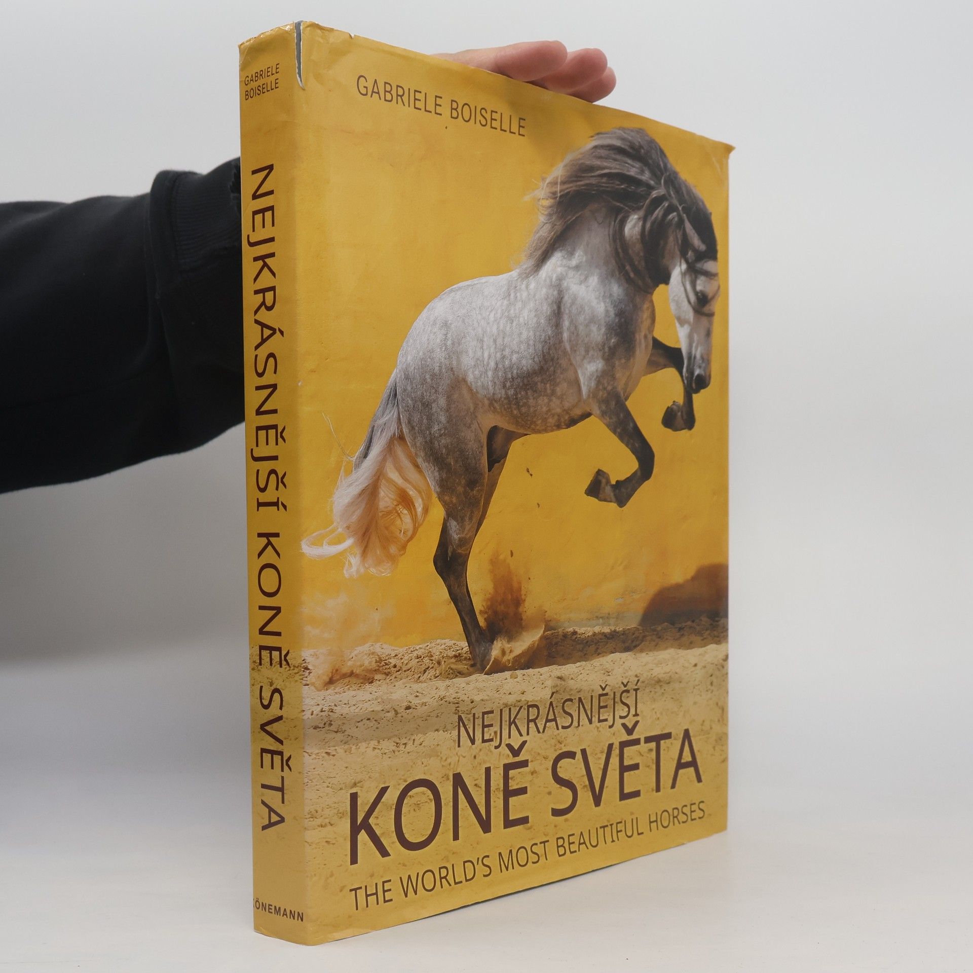 Nejkrásnější koně světa