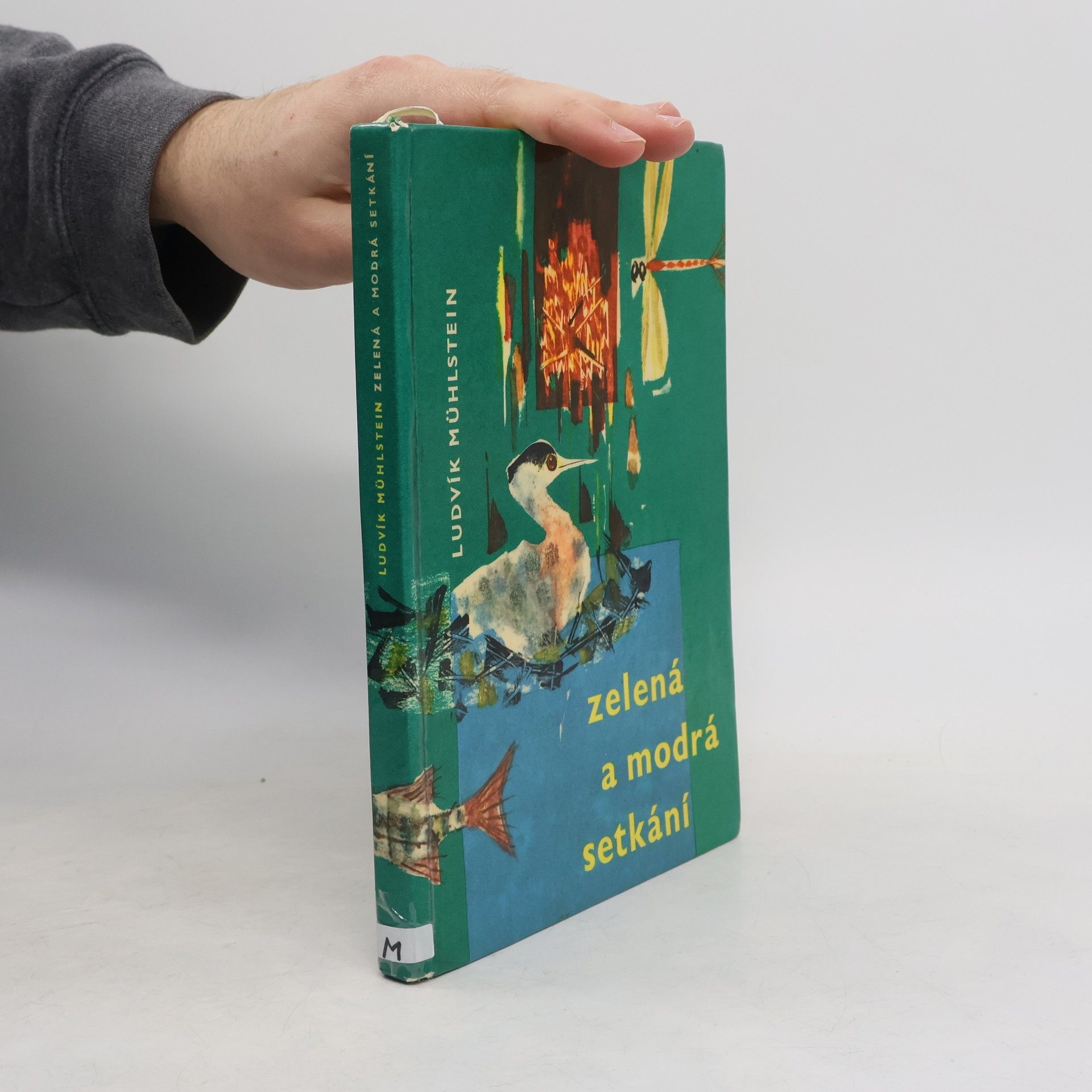 Ludvík Mühlstein Zelená a modrá setkání