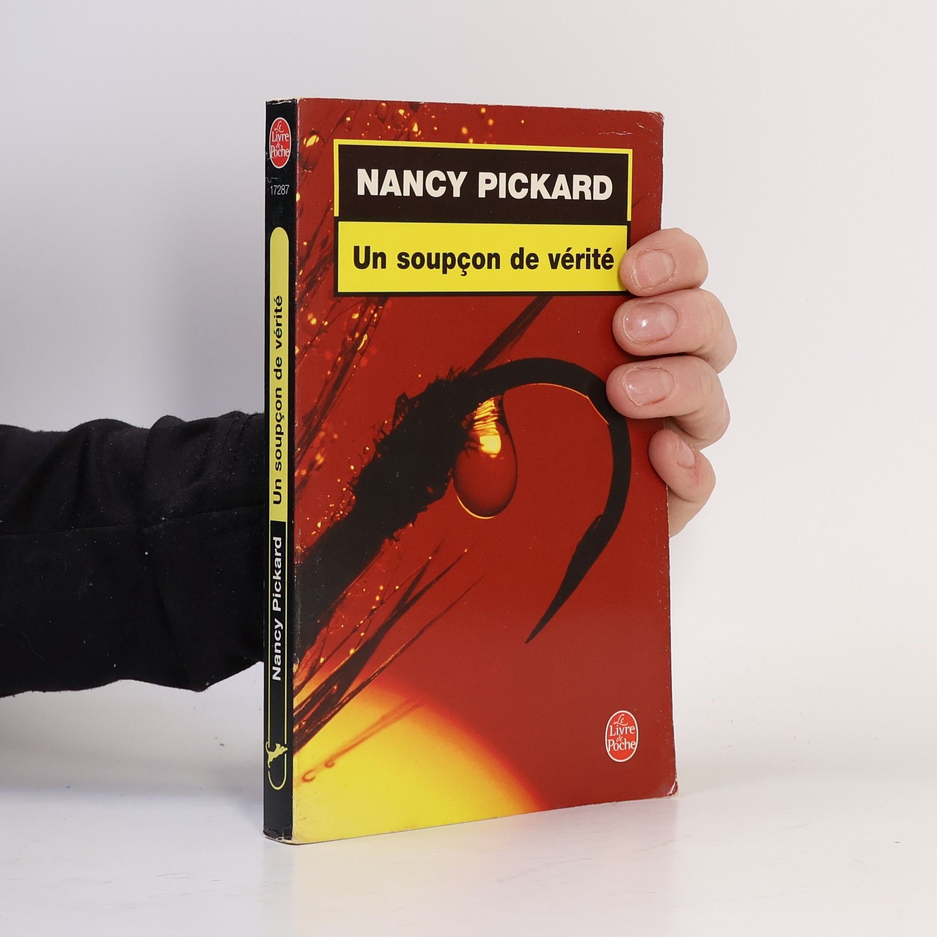 Nancy Pickard Un soupçon de vérité