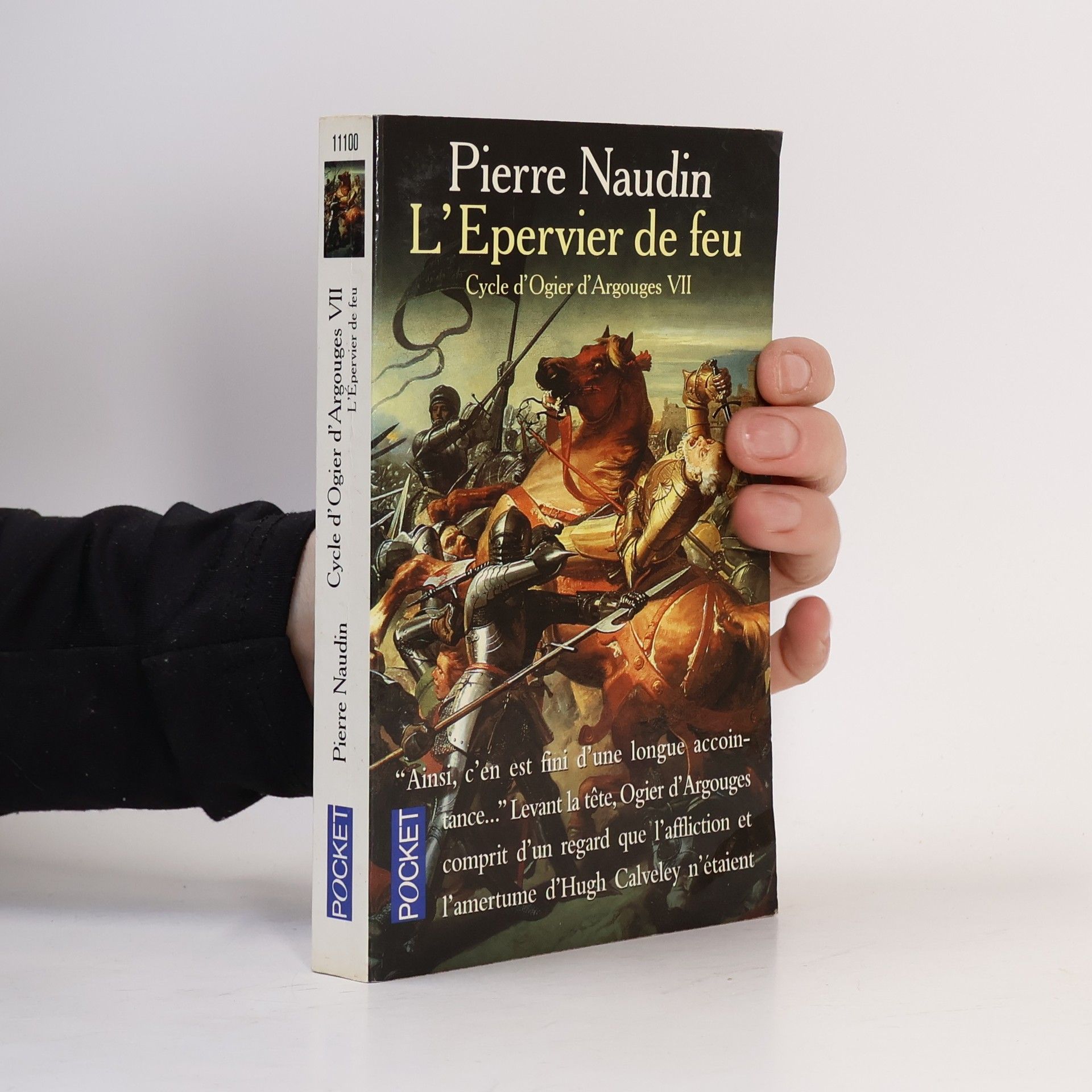 Cycle d'Ogier d'Argouges - 7: L'Épervier de Feu