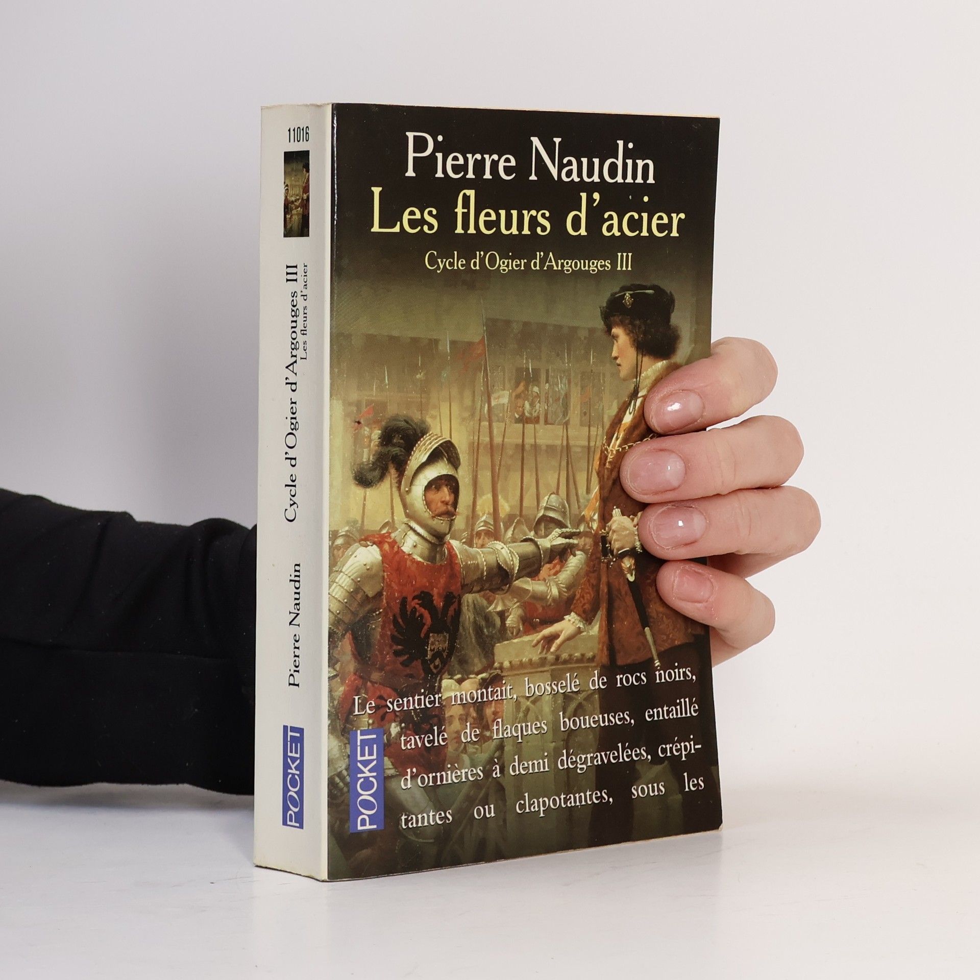 Cycle d'Ogier d'Argouges - 3: Les Fleurs d'acier