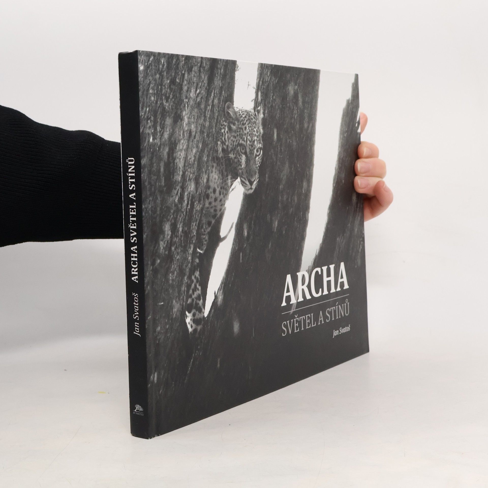 Ivan Svatoš Archa světel a stínů