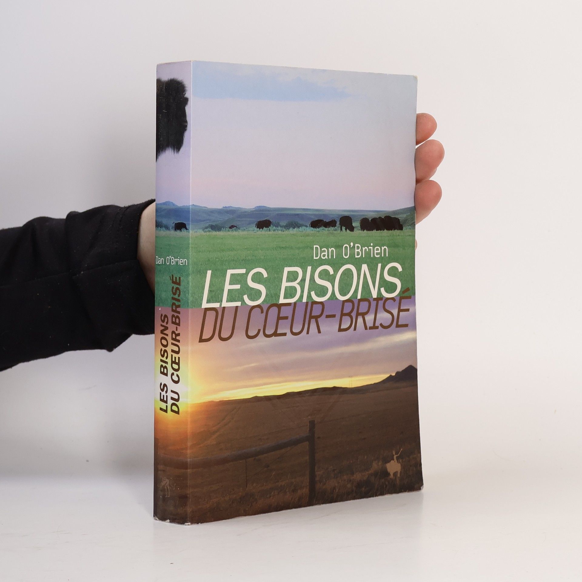 Dan OBrien Les bisons du Cœur-Brisé