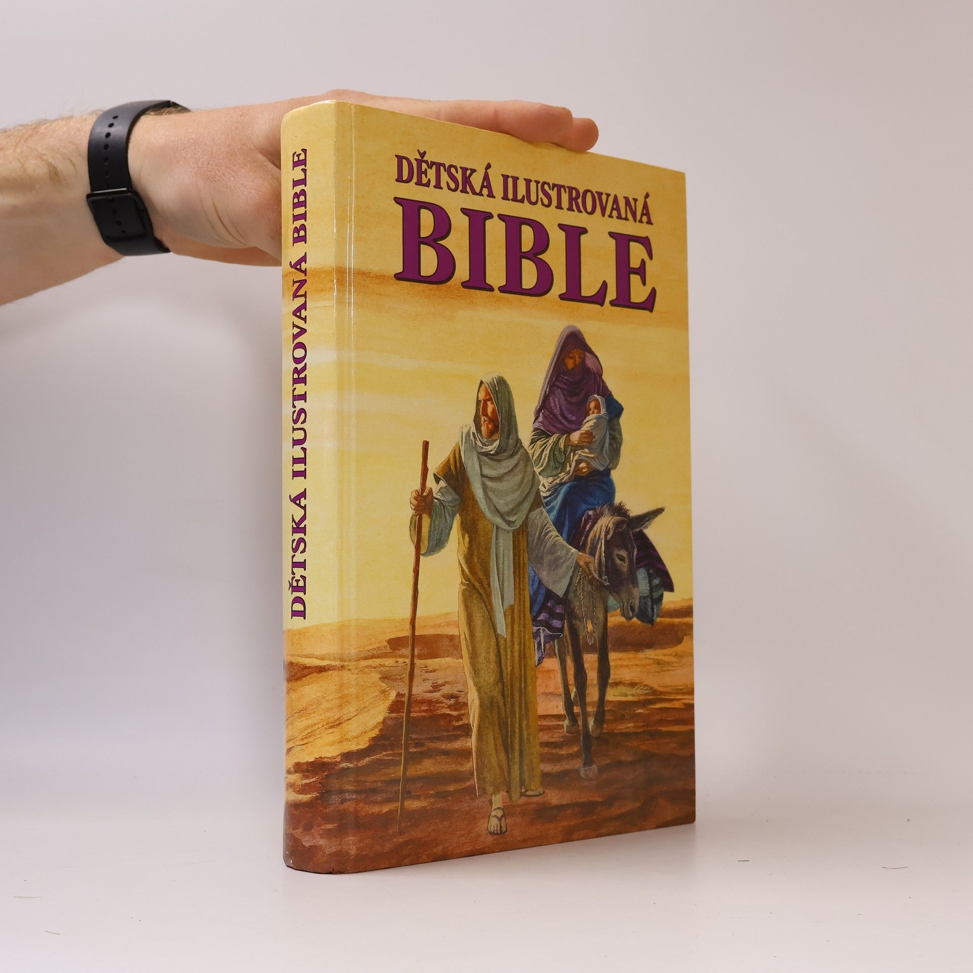 Collectif d'auteurs Dětská ilustrovaná bible