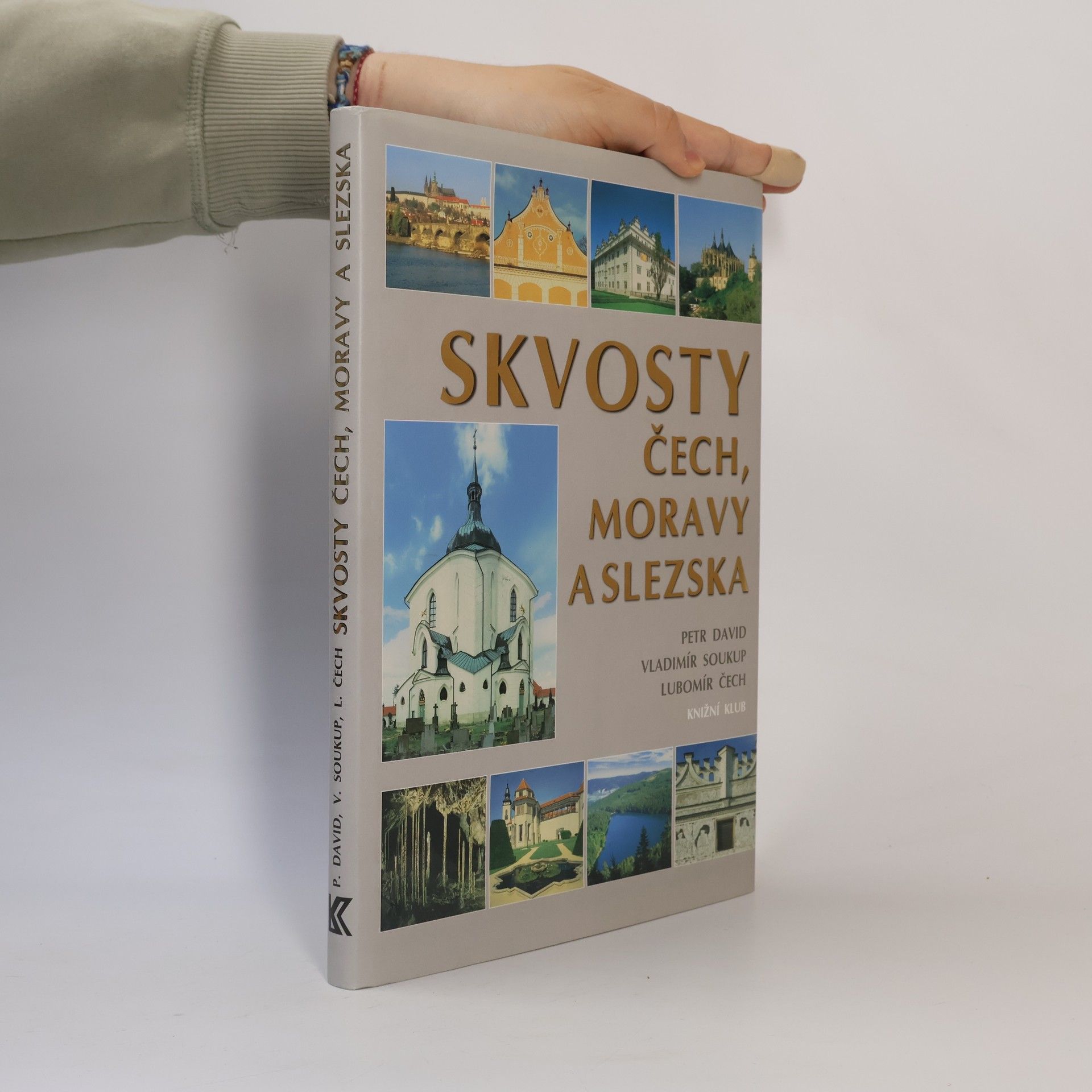 Petr David Skvosty Čech, Moravy a Slezska