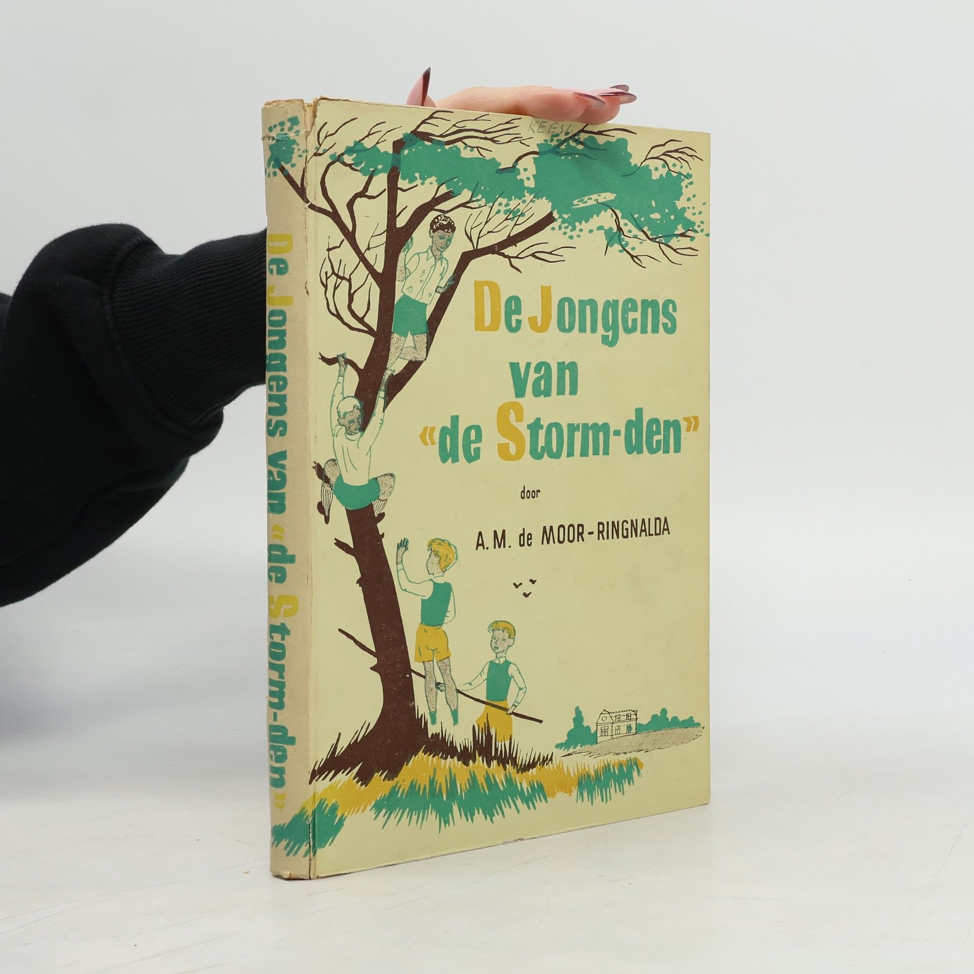 De jongens van de „Storm-den"