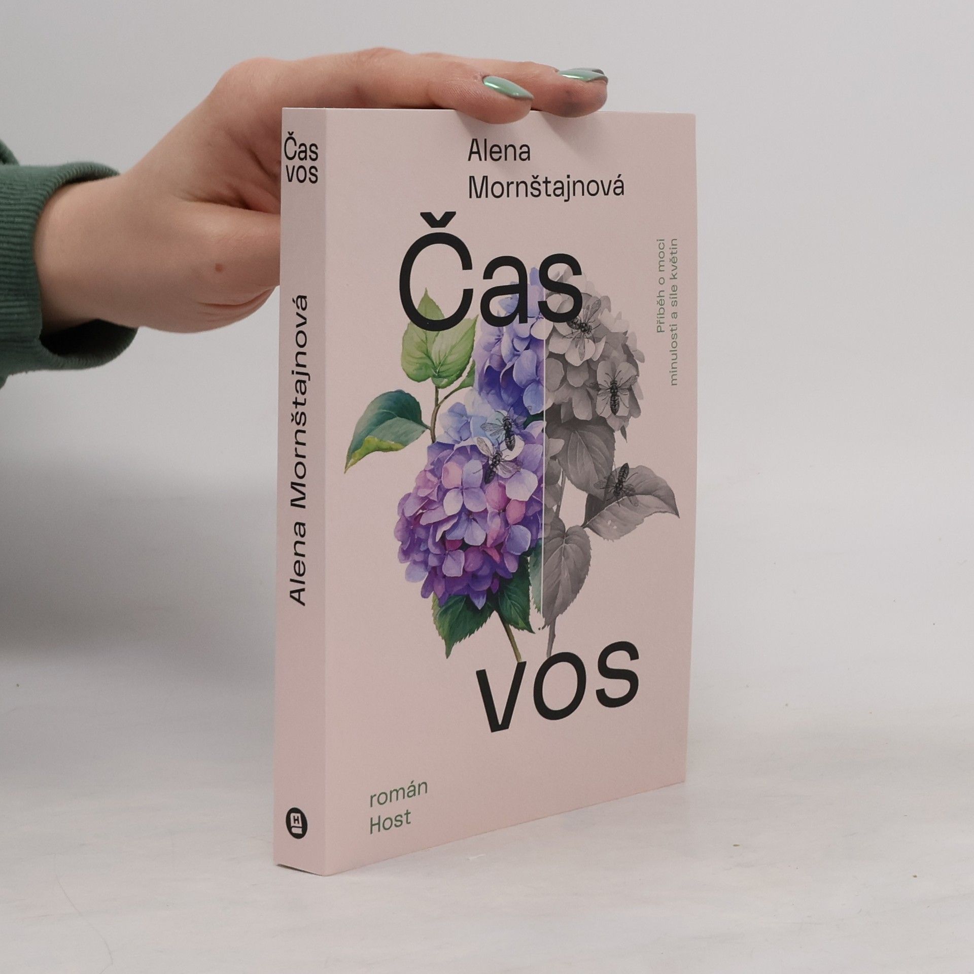 Alena Mornštajnová Čas vos