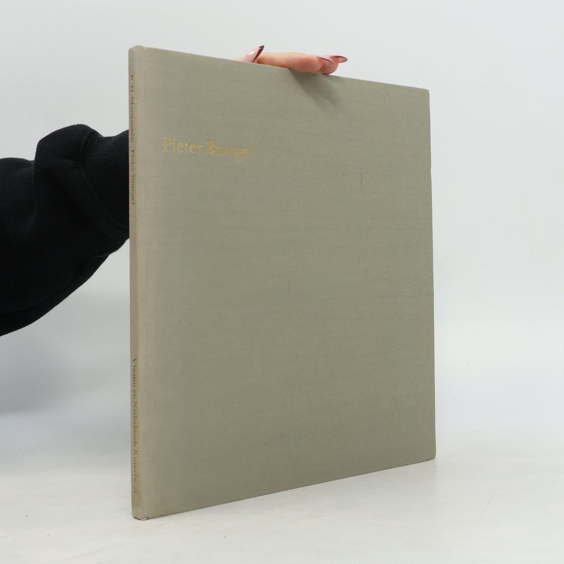 Autorenkollektiv Pieter Bruegel