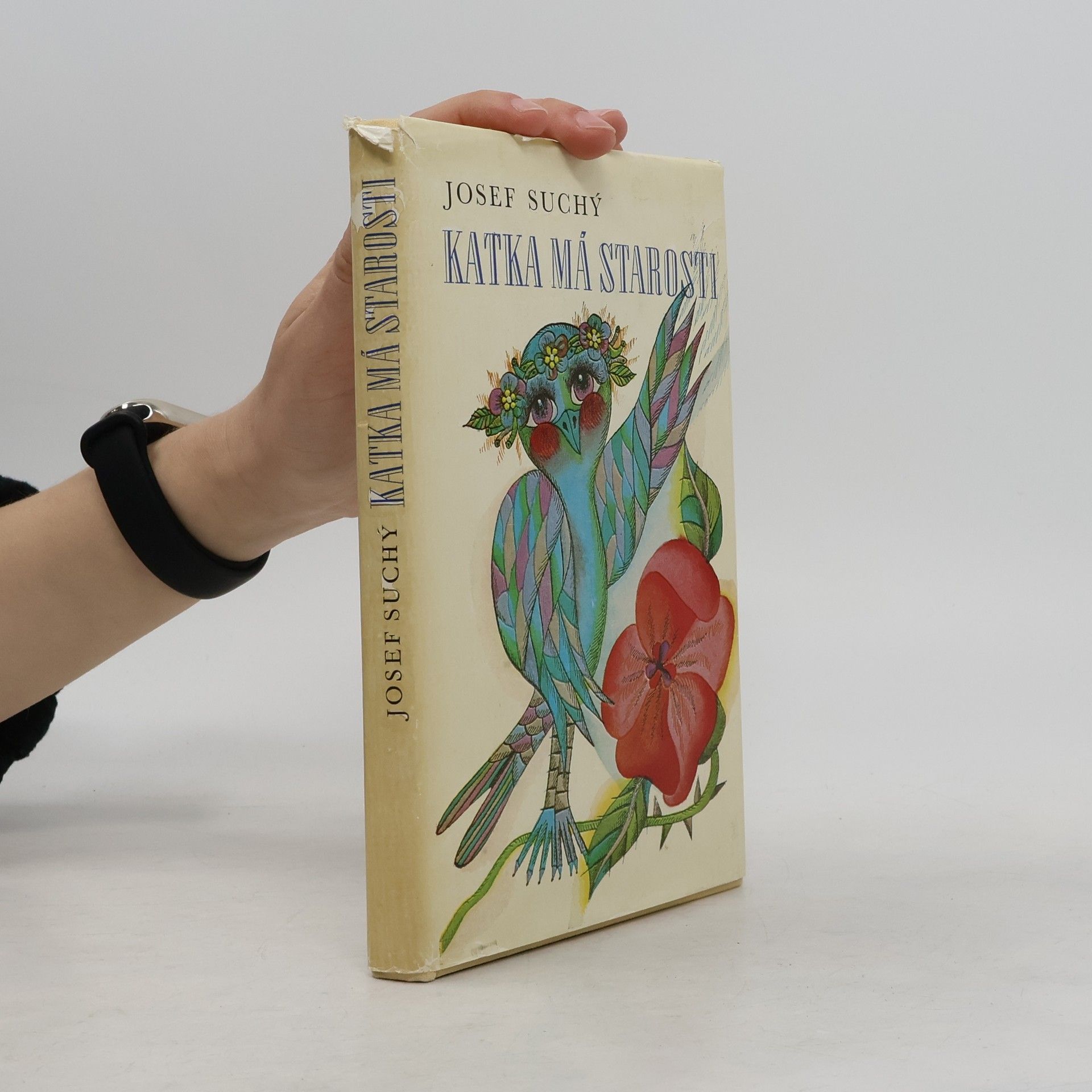 Josef Suchý Katka má starosti