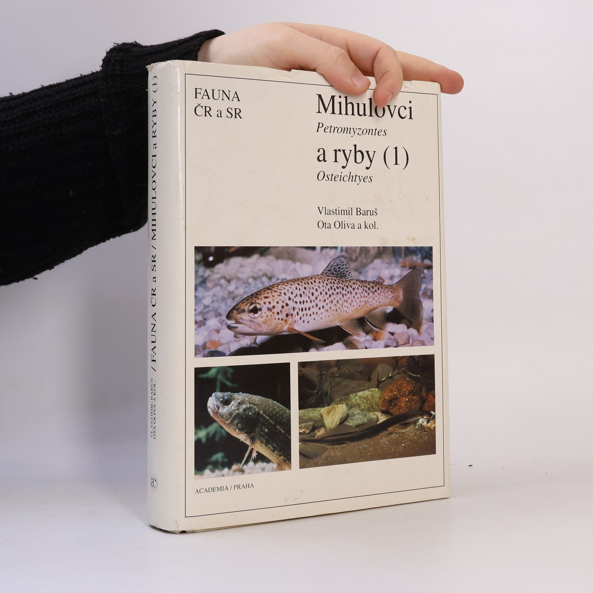Kolektiv autorů Mihulovci a ryby. 1. díl