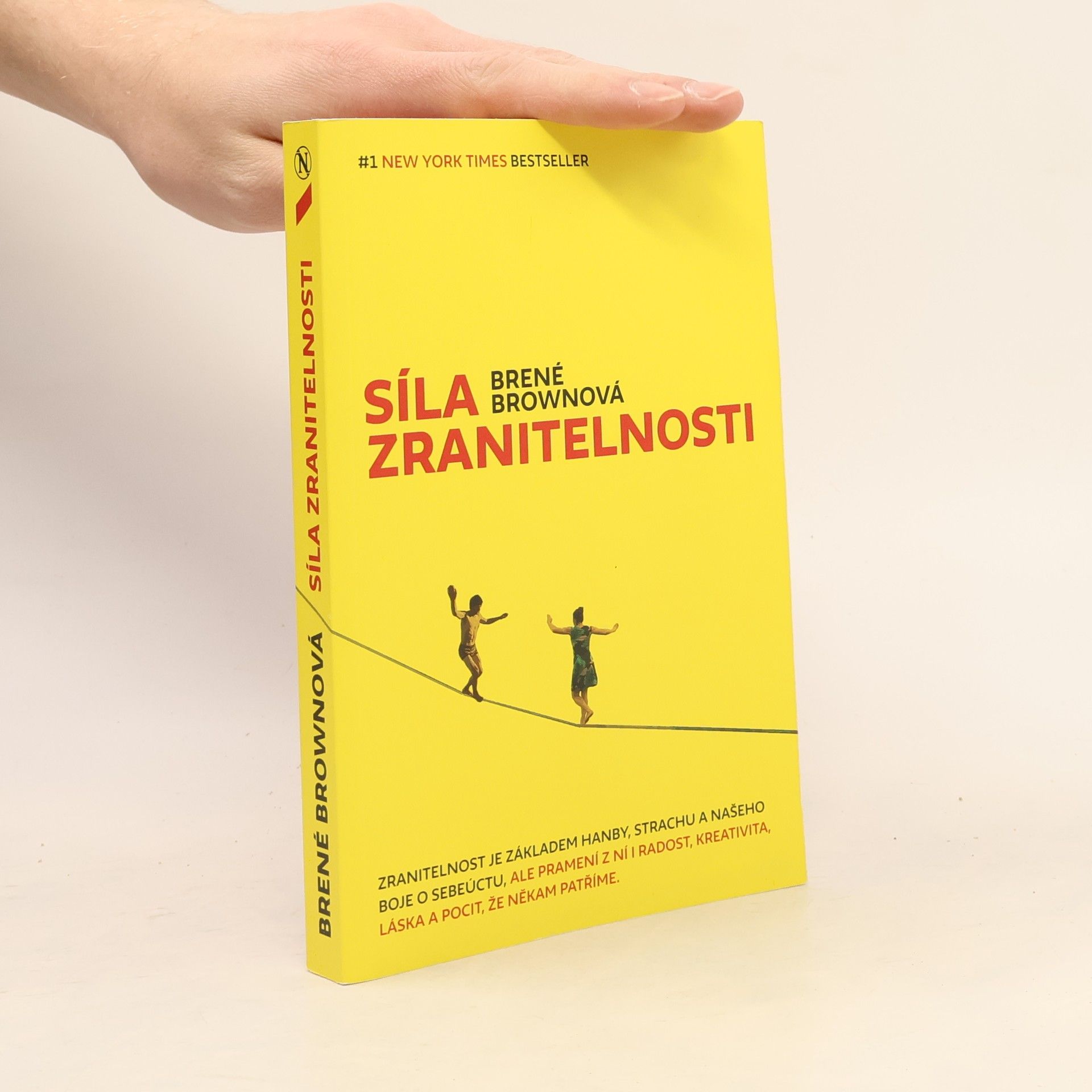 Síla zranitelnosti