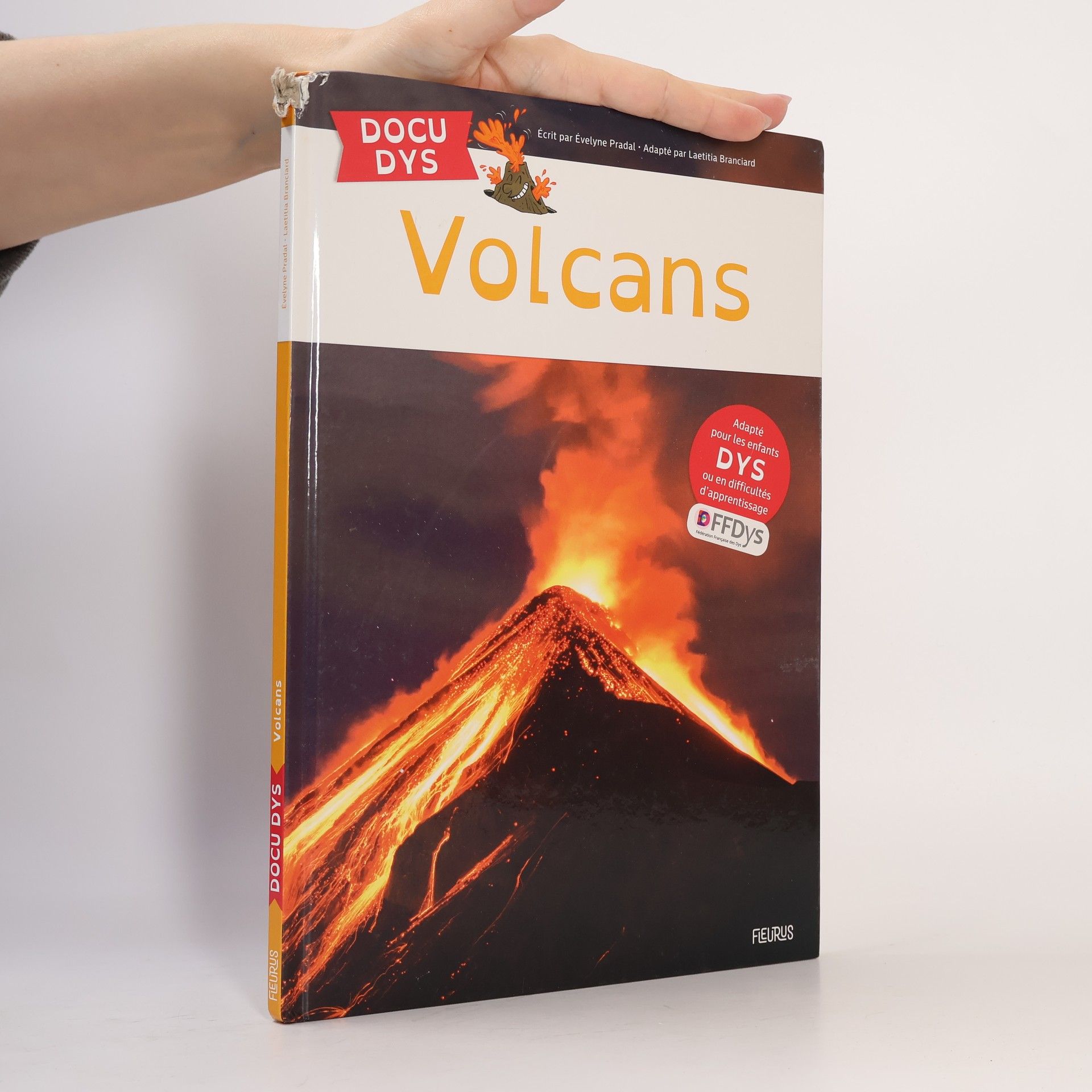 Évelyne Pradal Volcans