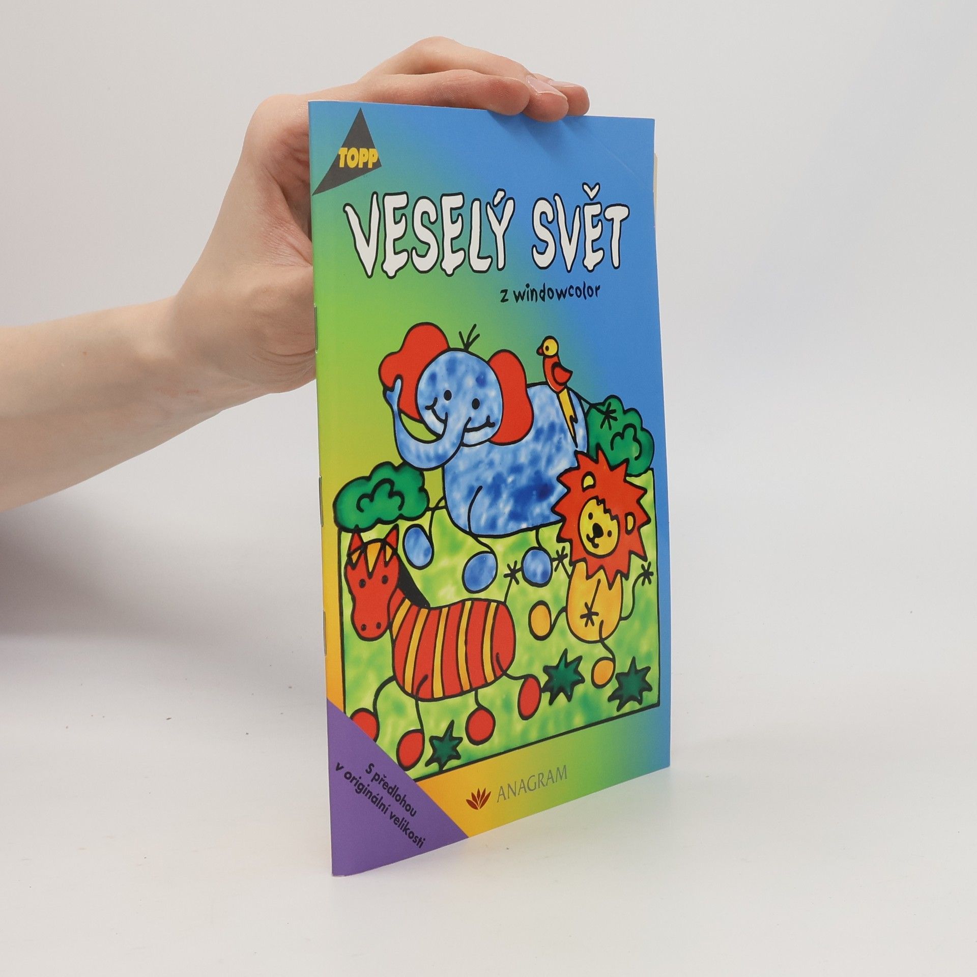 Angelika Kipp Veselý svět : z windowcolor