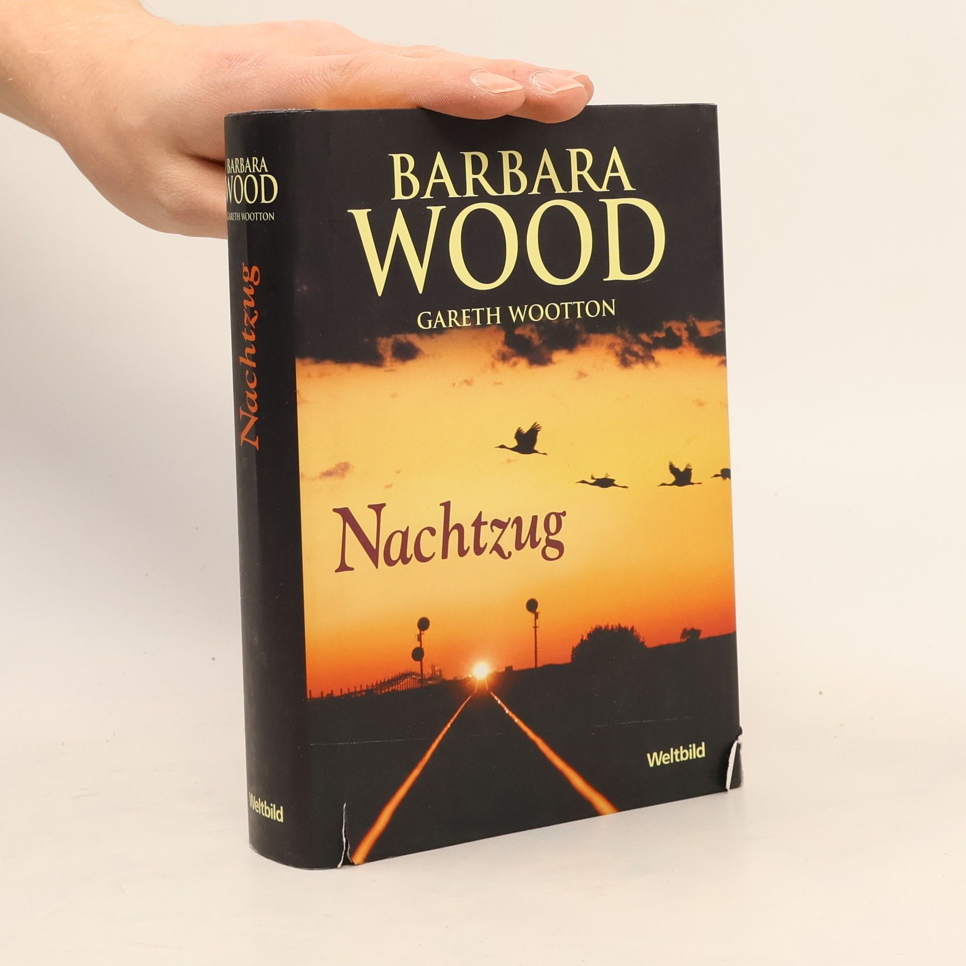 Barbara Wood Nachtzug