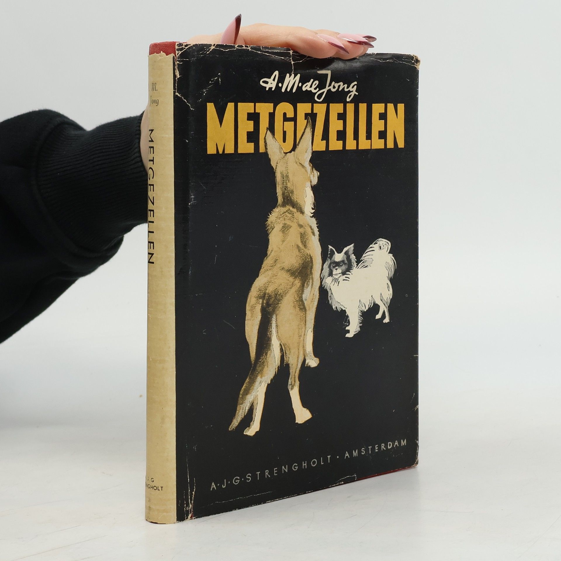 A.M. de Jong Metgezellen