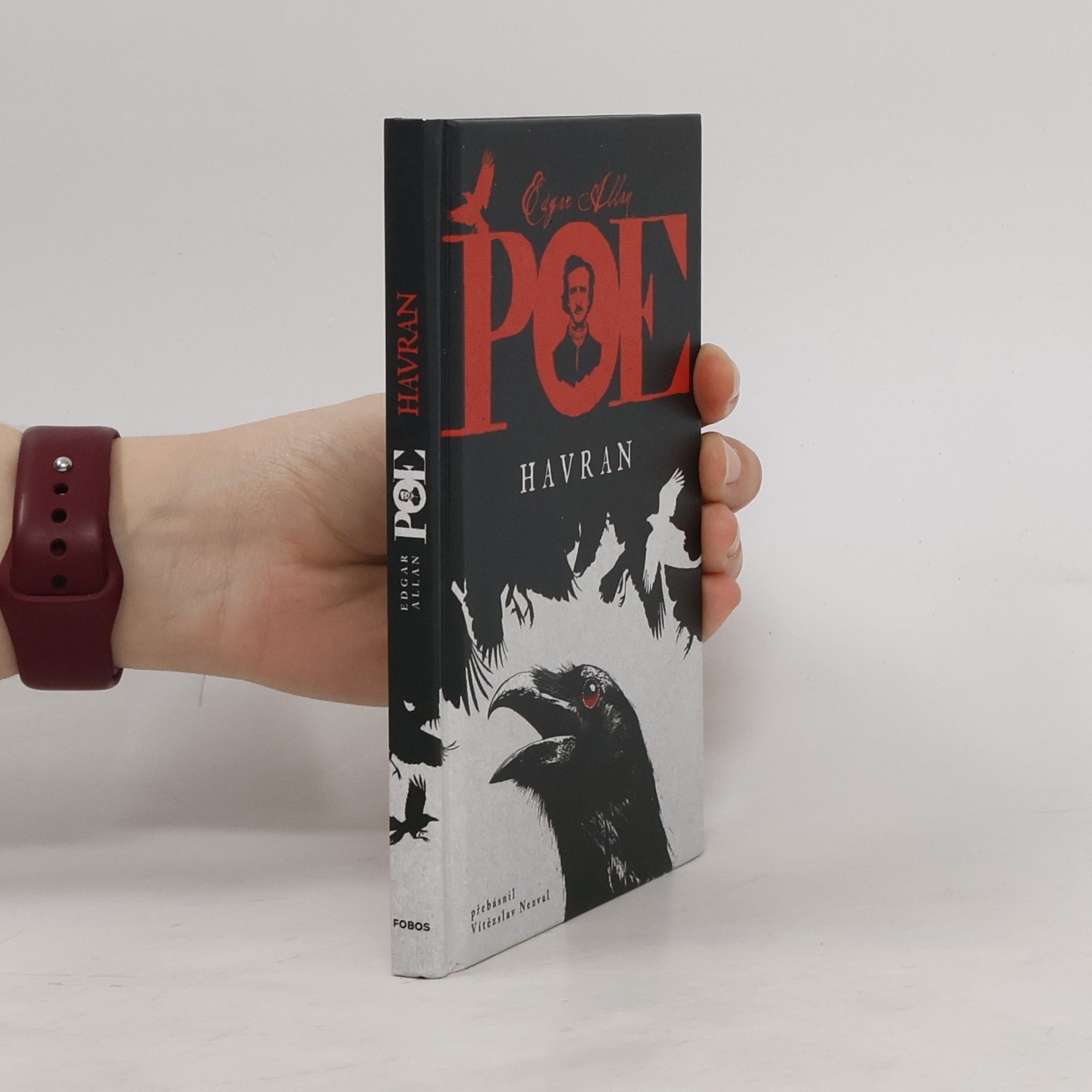 Edgar Allan Poe Havran a jiné básně